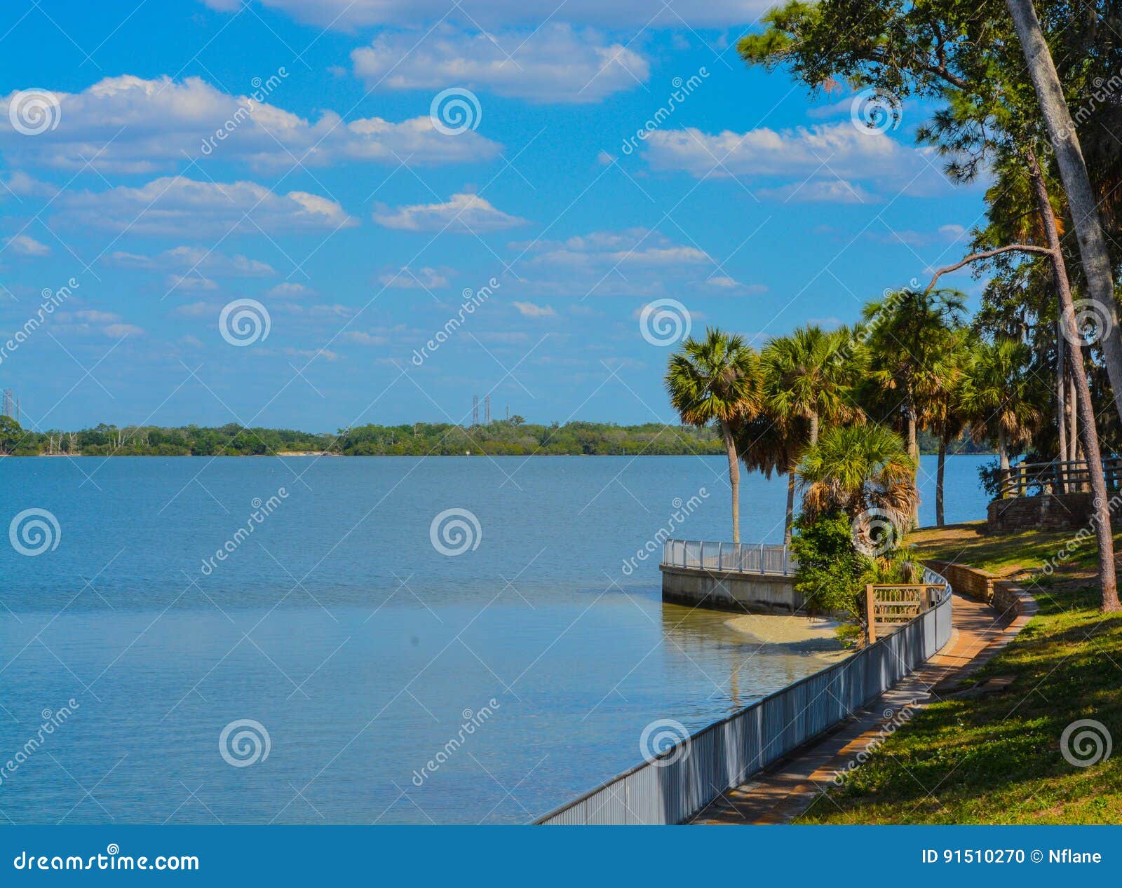 the walkway along tampa bay at philippe park in safety harbor, florida.