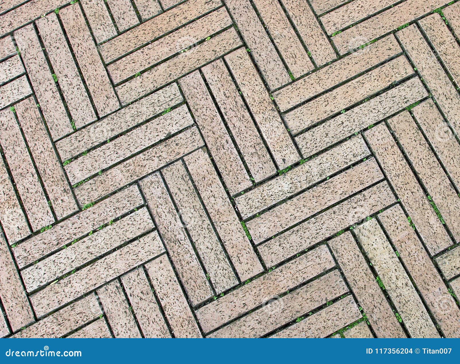 Walkway Brick With Design Pattern Stock Photo Image Of Pattern Pathway 117356204