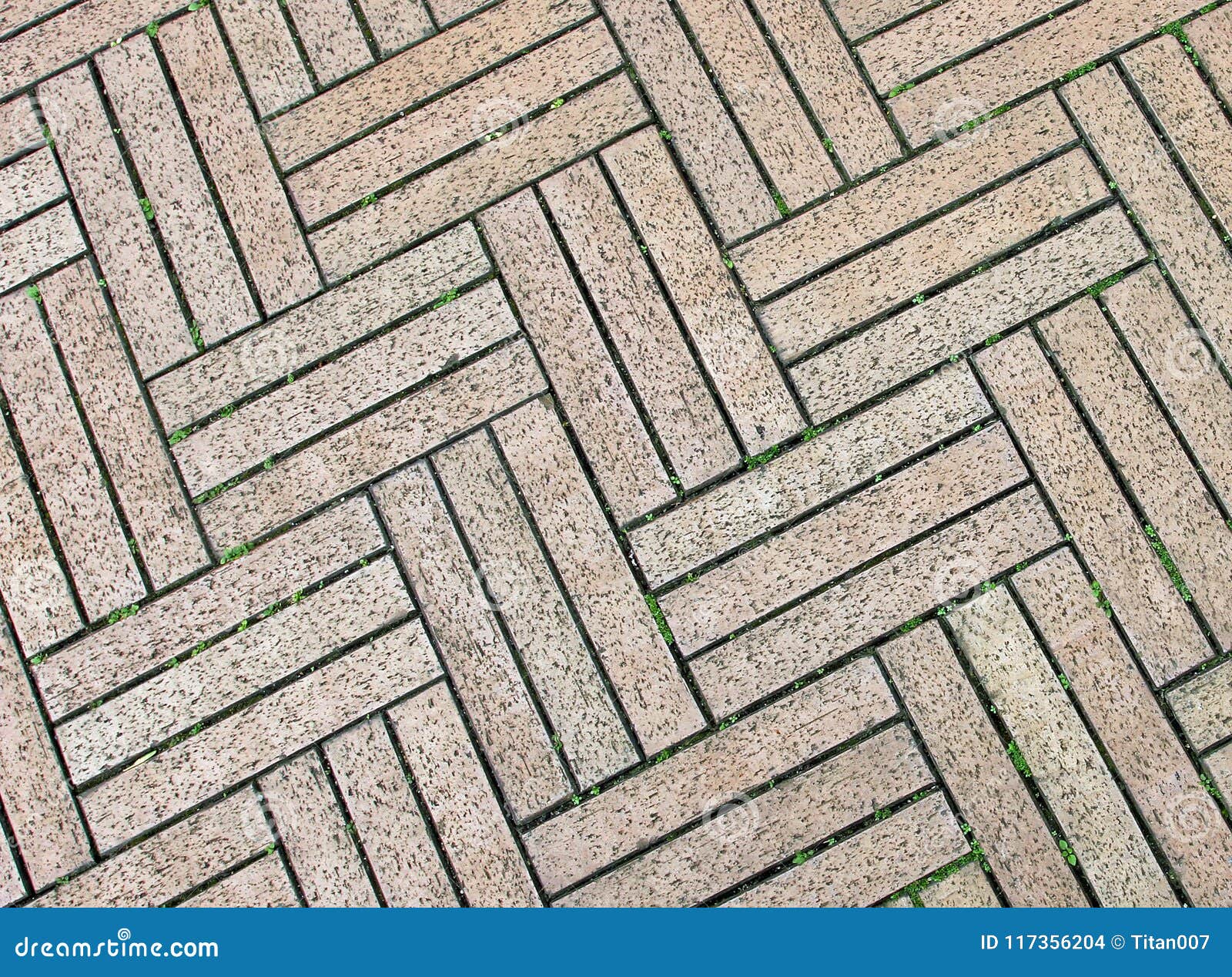 Walkway Brick With Design Pattern Stock Photo Image Of Pattern Pathway 117356204