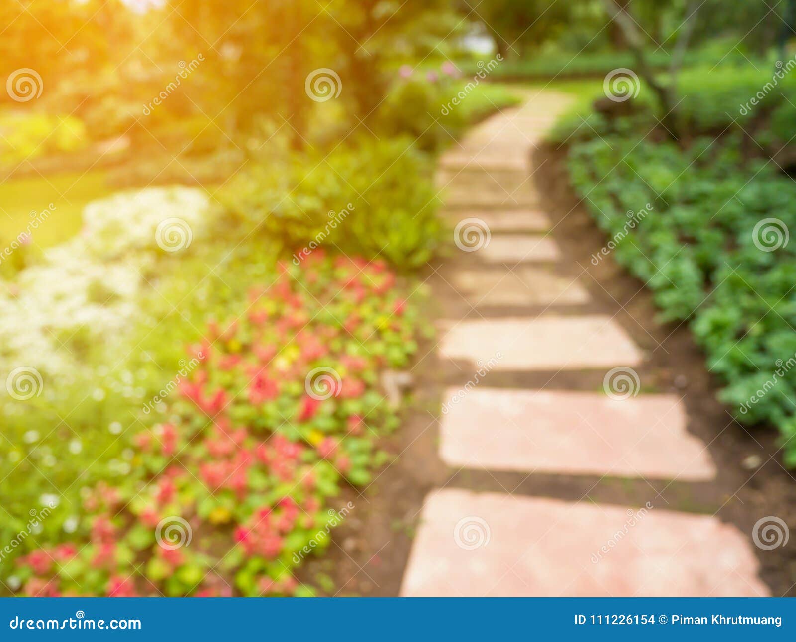 402 Blur Background Pathway Park Garden Stock Photos - Free & Royalty-Free  Stock Photos from Dreamstime