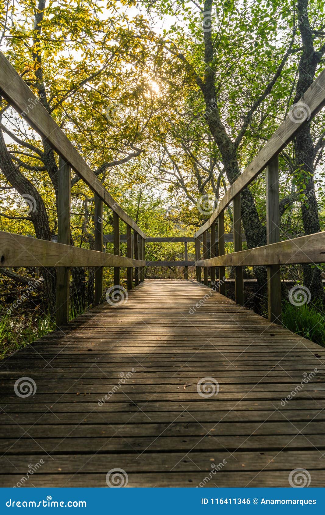 walkway in lagoas de bertiandos, ponte de lima, portugal.