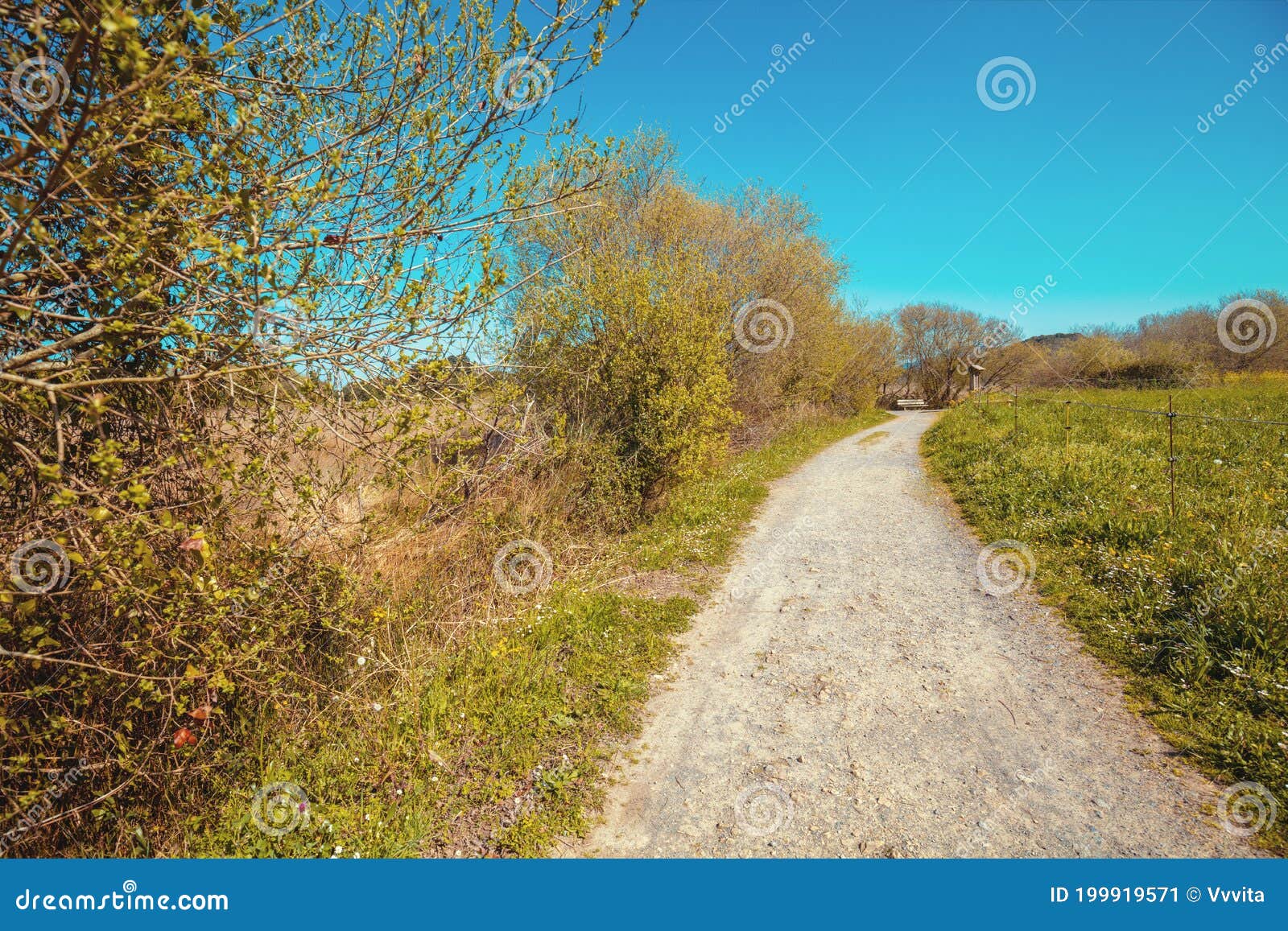 walkway in the natural reserve marisma de joyel