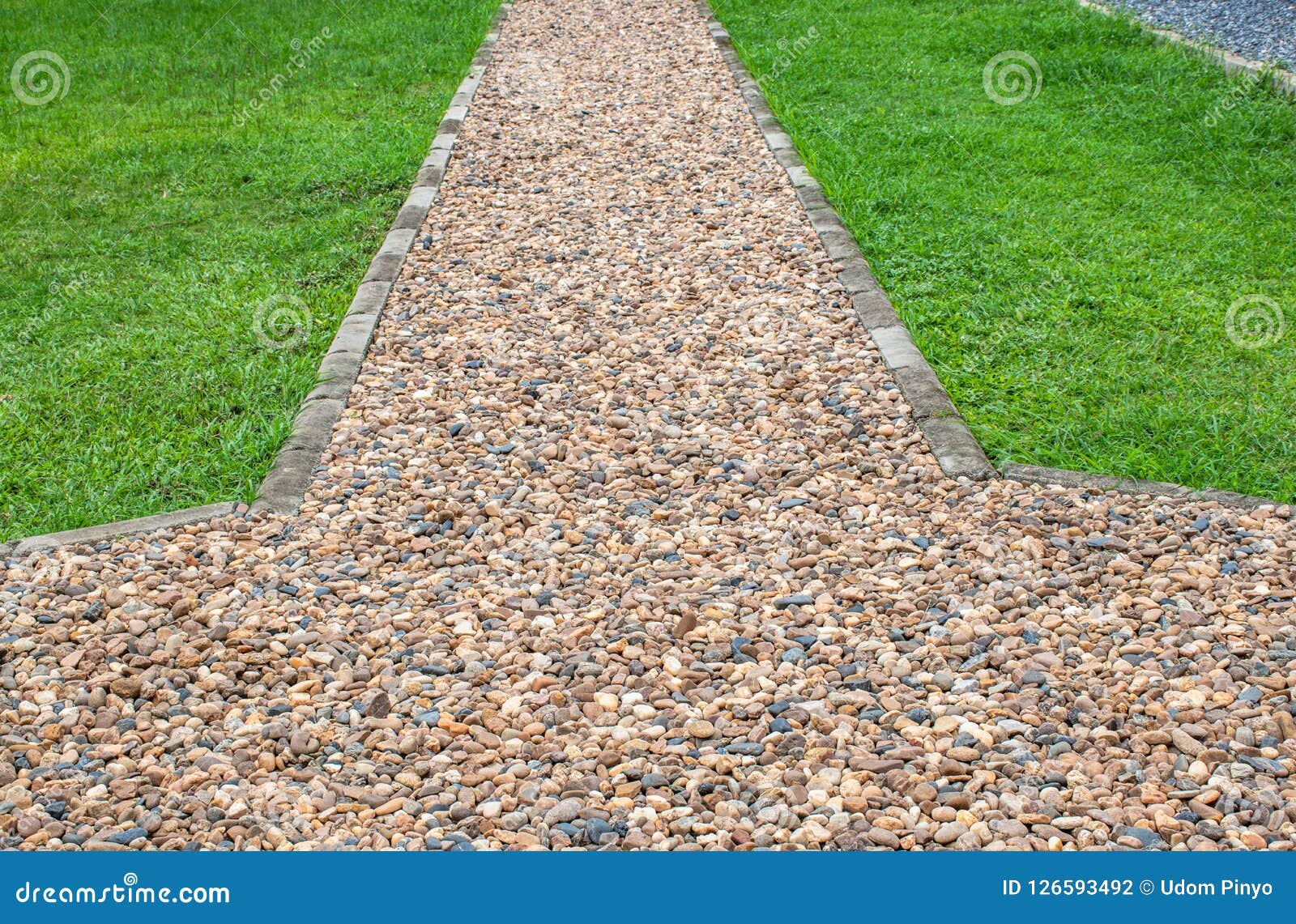 Gravel path and lawn stock photo. Image of pathway, curve 126593492