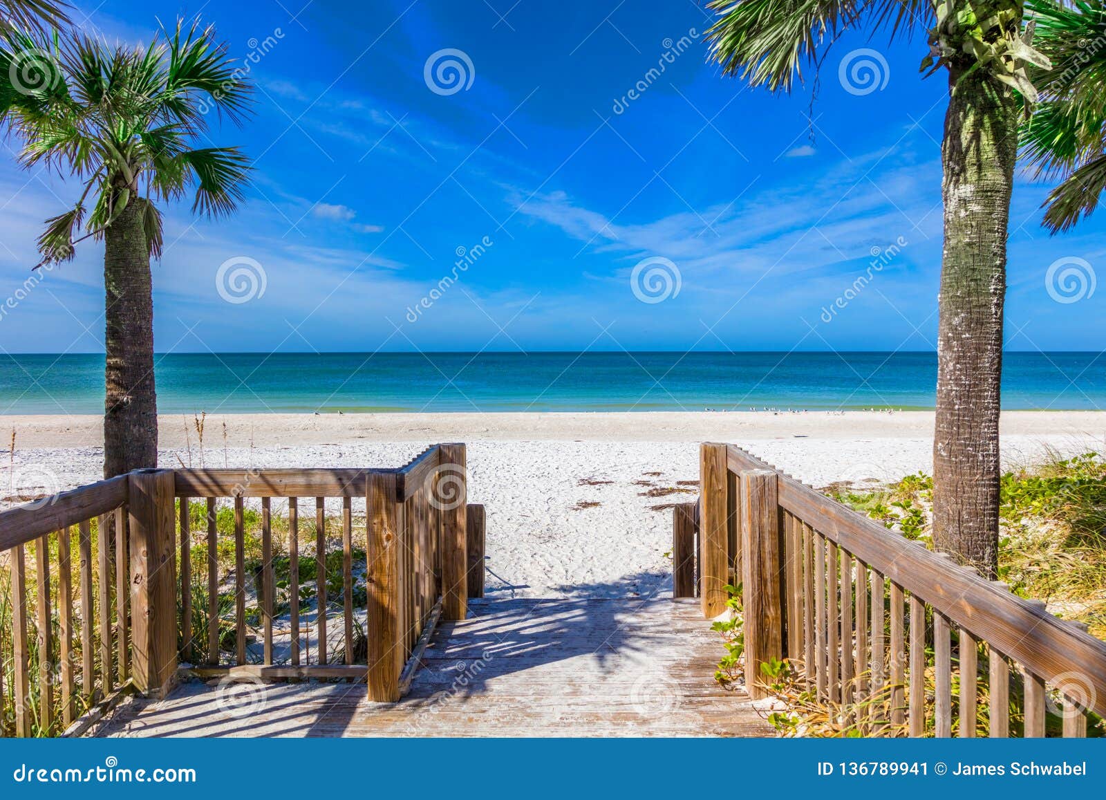 walkway to beach on anna maria island in bradenton florida
