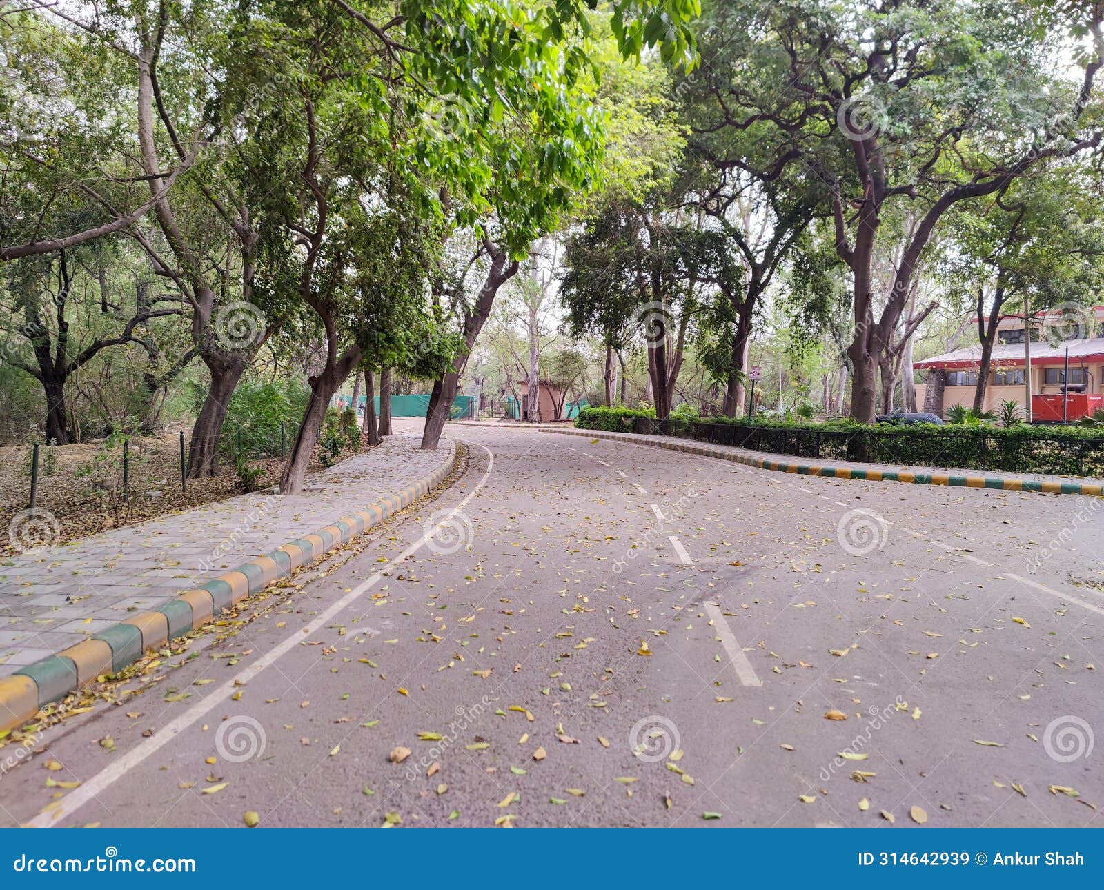walkway to delhi zoological park surrounded by trees