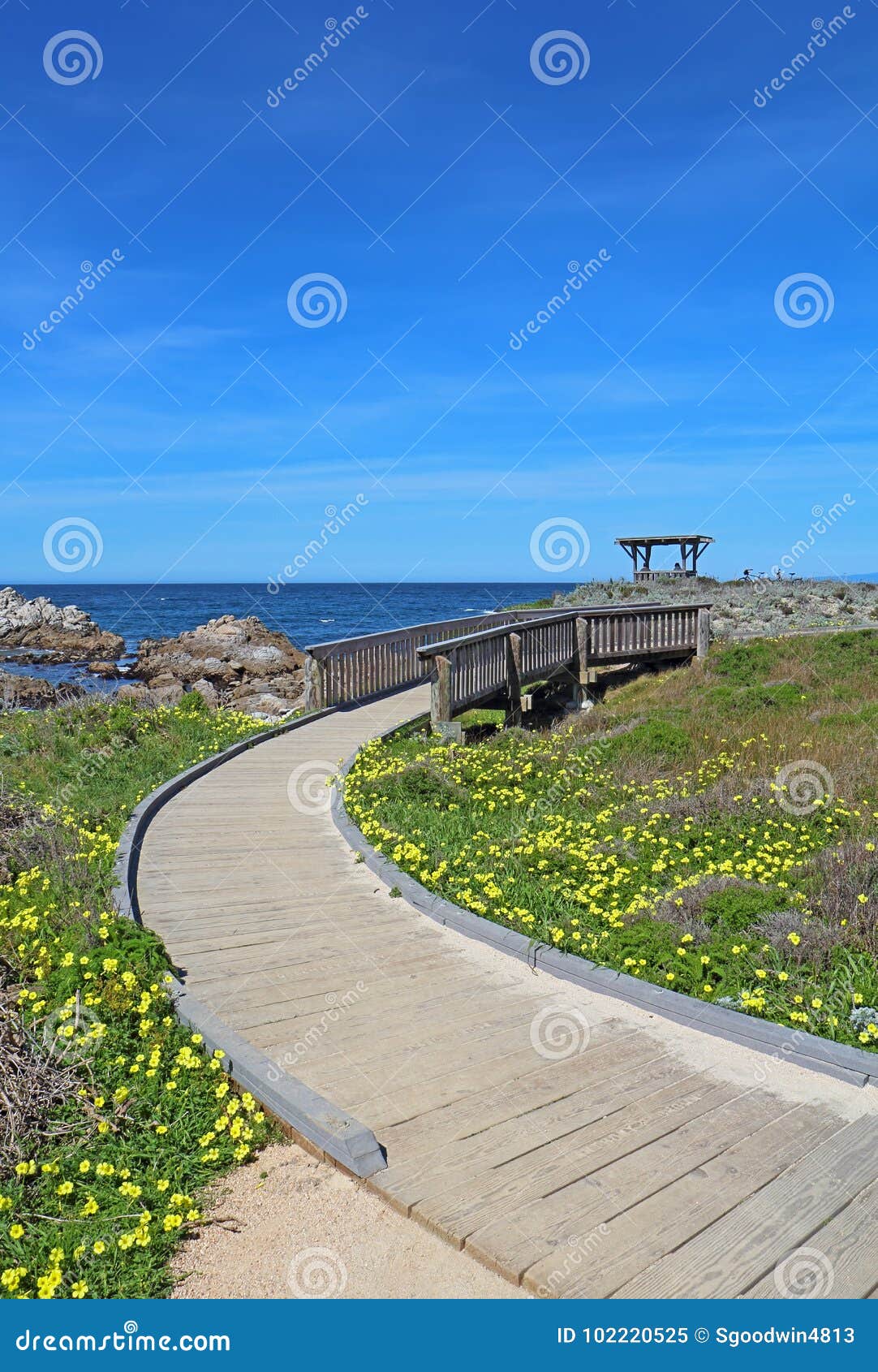 walkway to a gazebo at asilomar state beach in pacific grove, ca