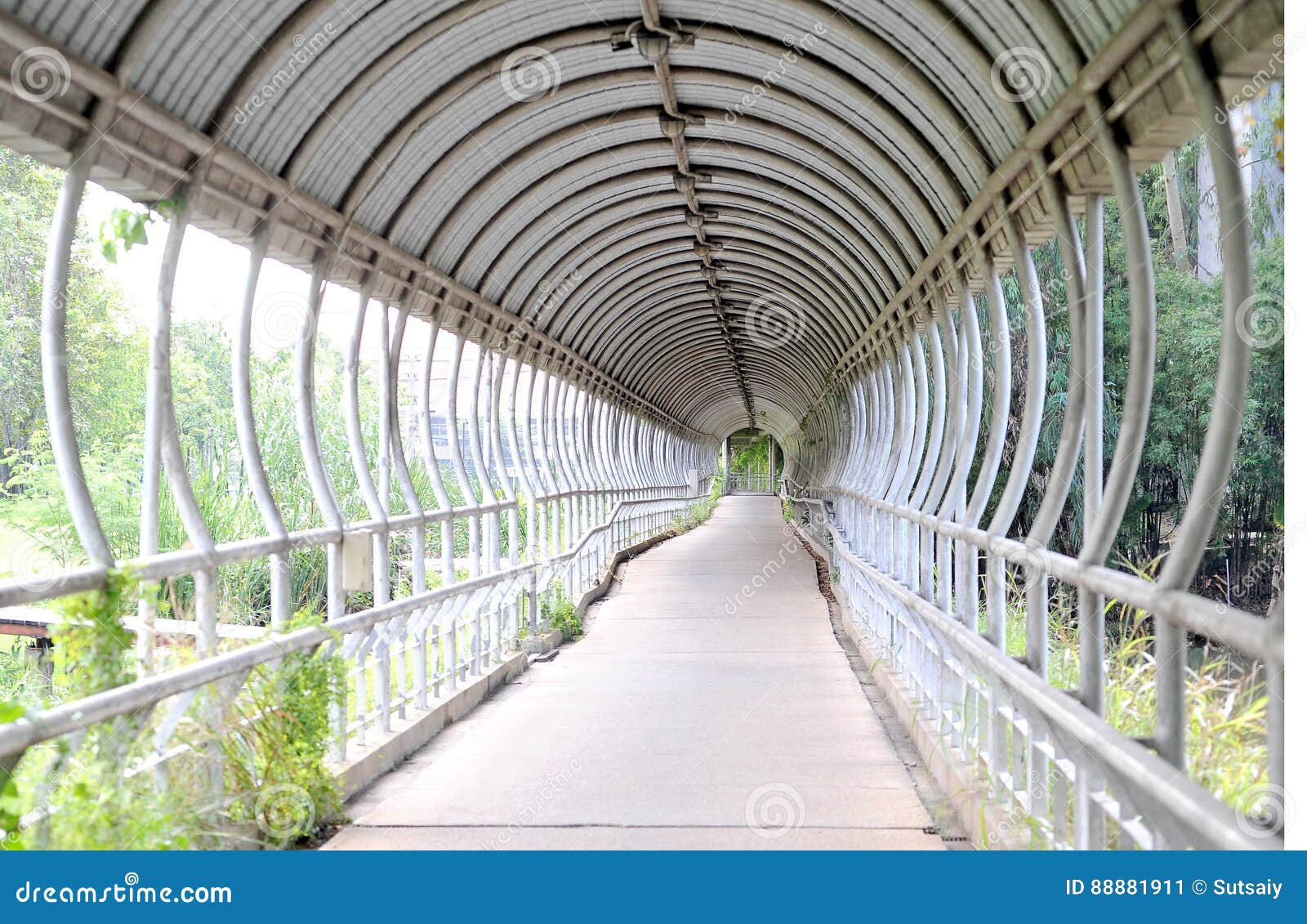 Walkway tunnel stock image. Image of concept, gateway 88881911