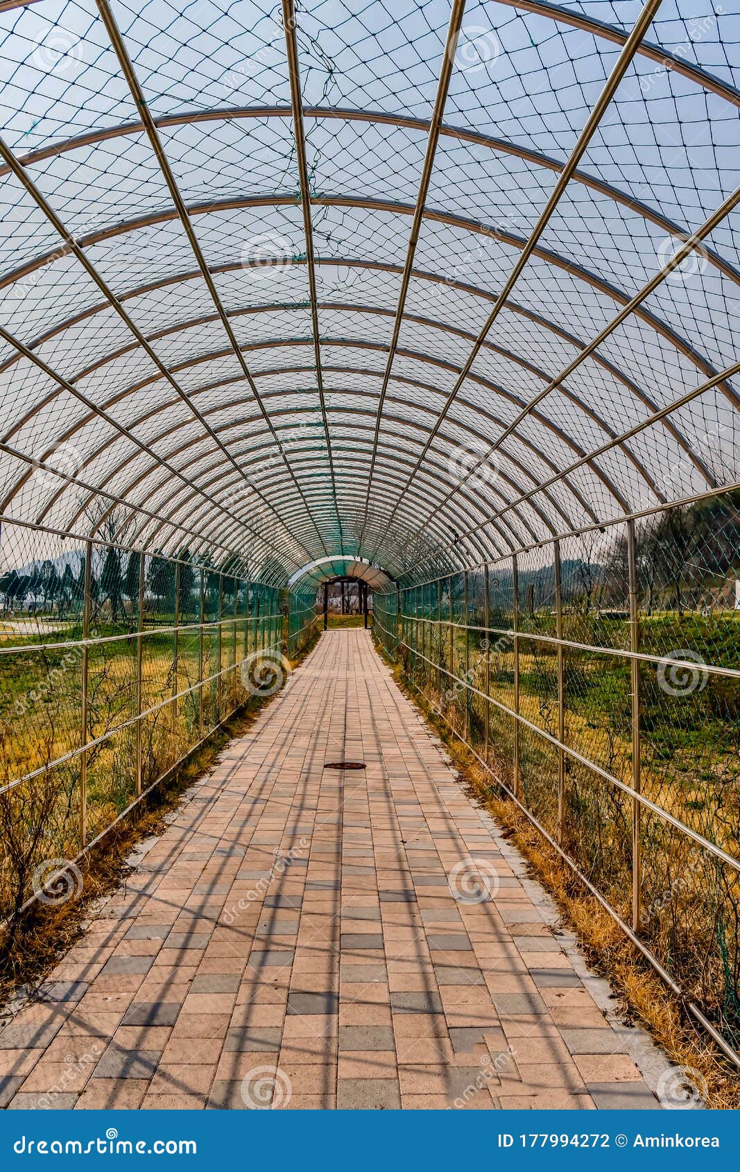 Walkway Under Arched Wire Mesh Stock Photo Image of nature, landscape
