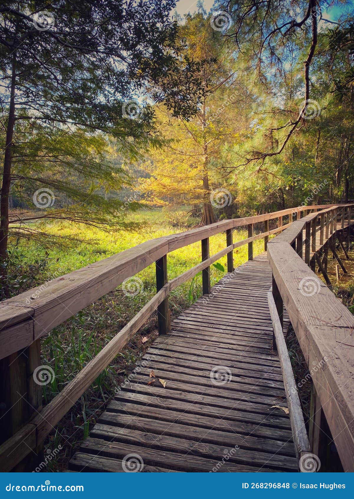 A Walkway Through The Wetlands Of Southeast Louisiana Stock Photo