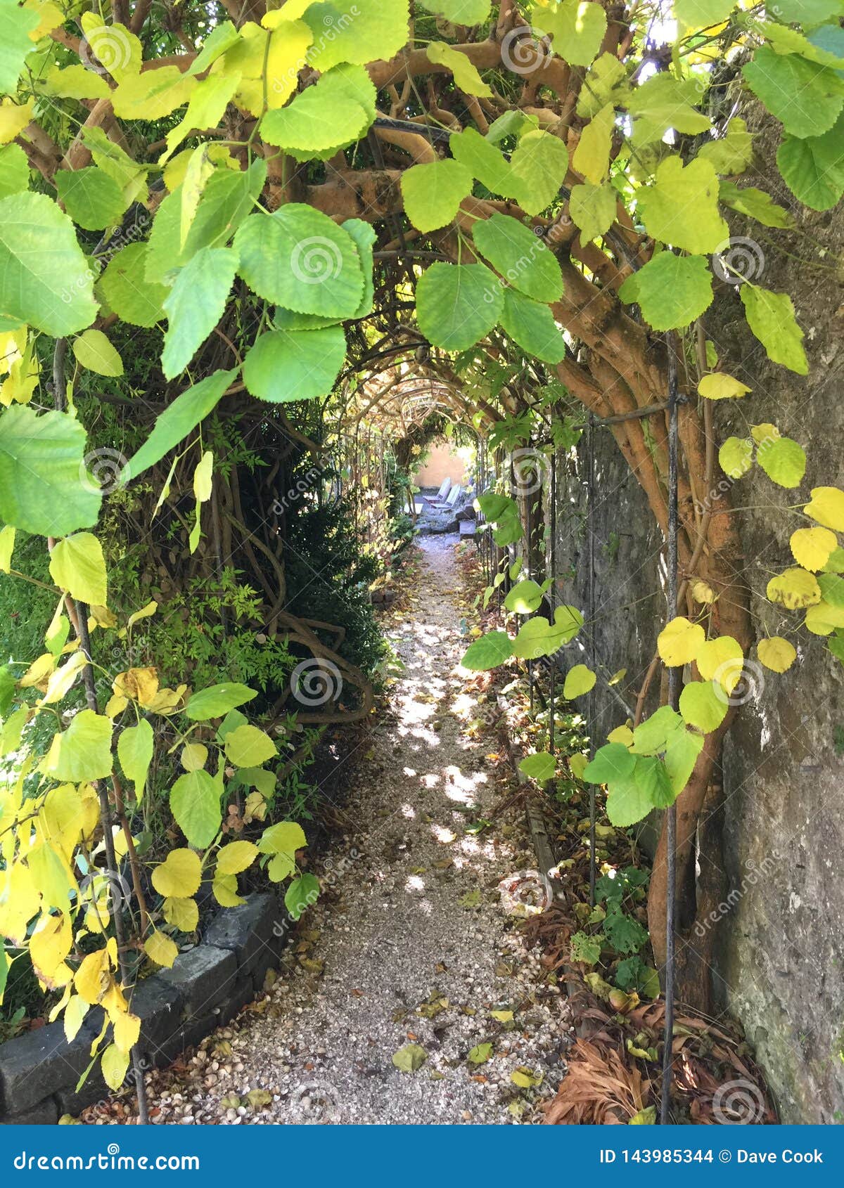 Walkway. Όμορφα χρώματα φύλλων φωτεινά