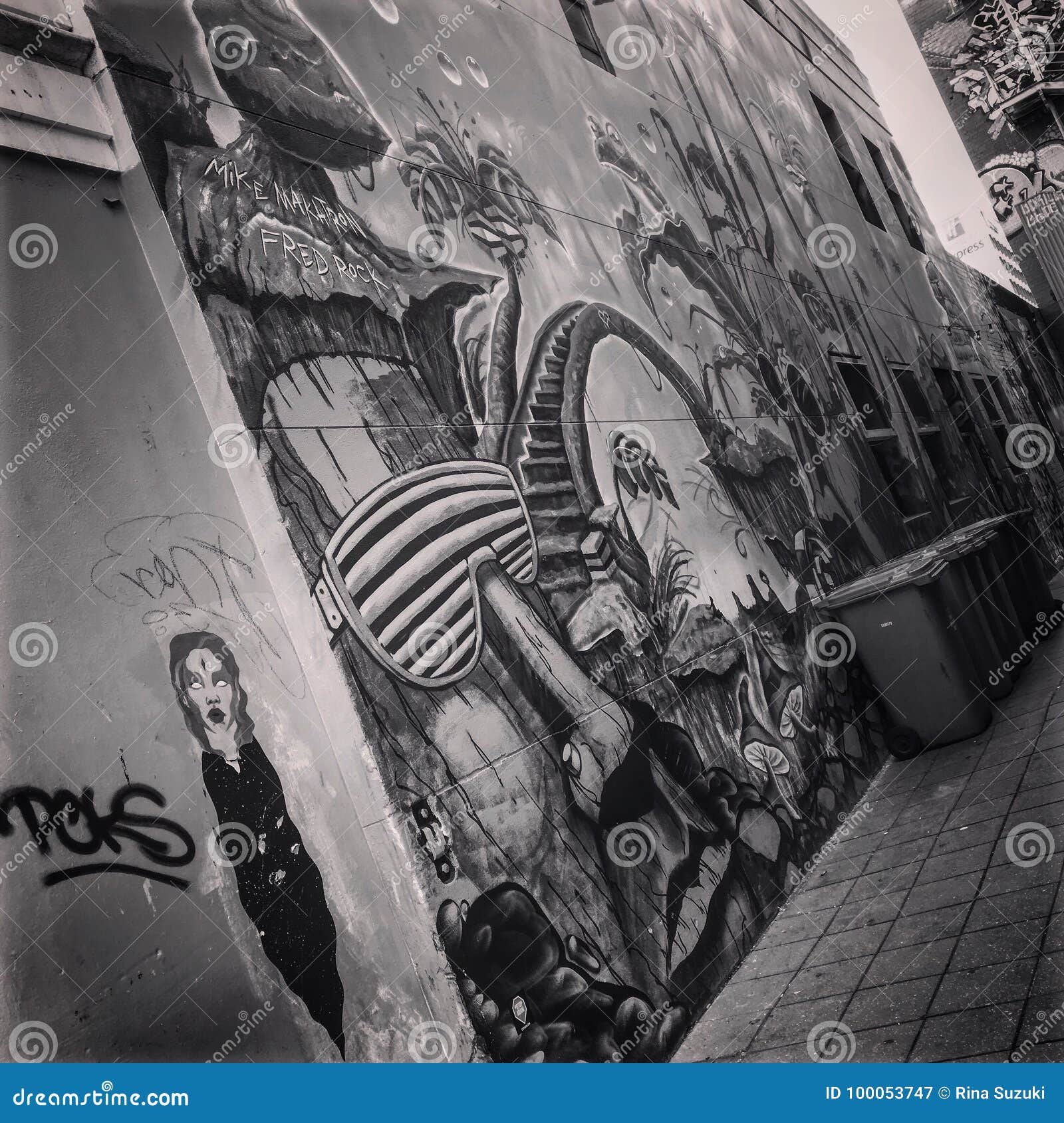 Wall art editorial photography. Image of adelaide, wall 100053747