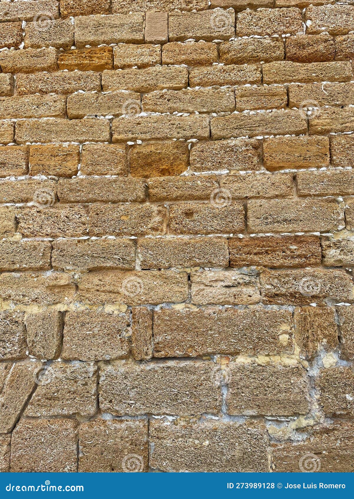 wall of the cathedral of cÃ¡diz