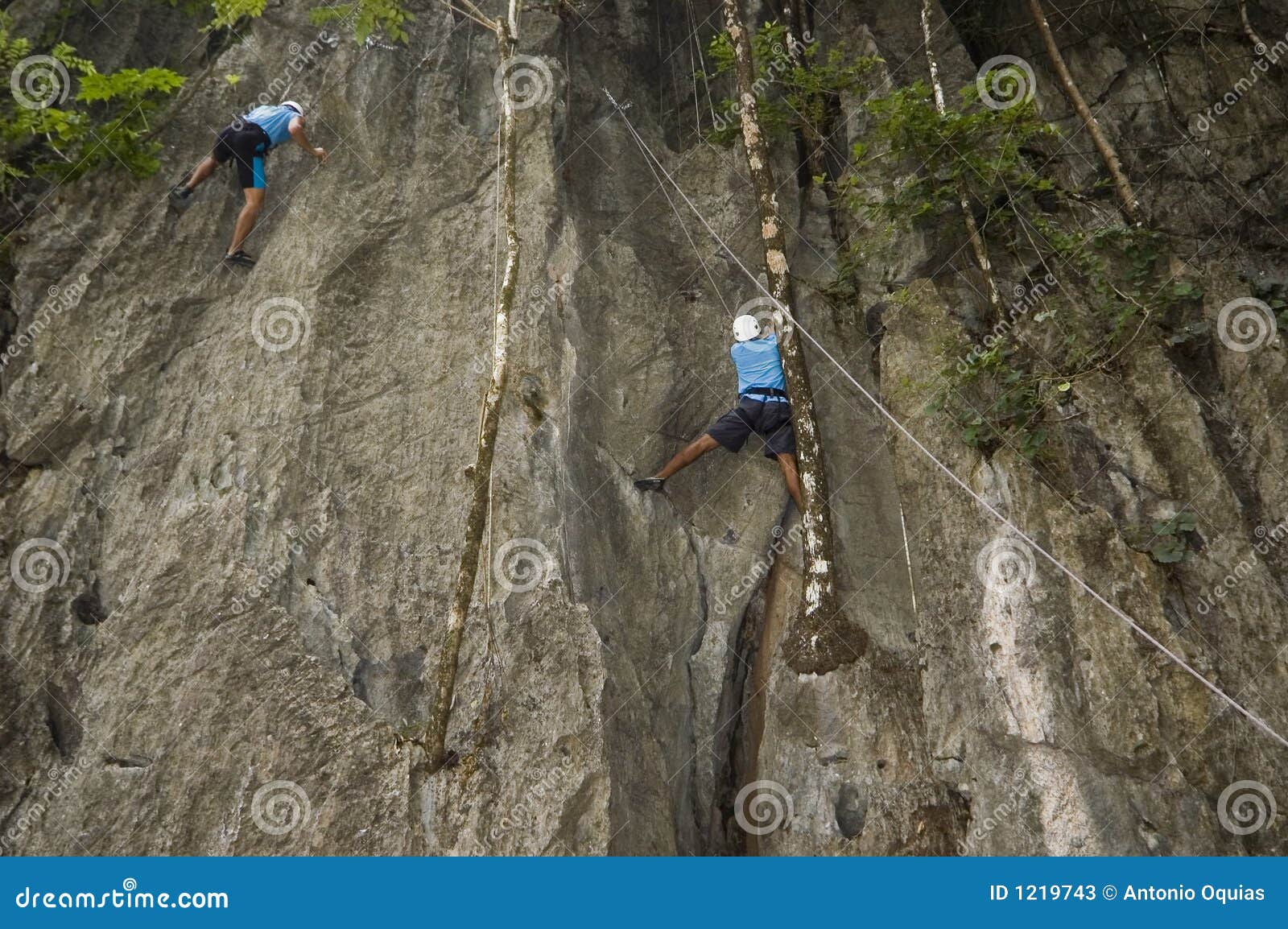 wall climbers