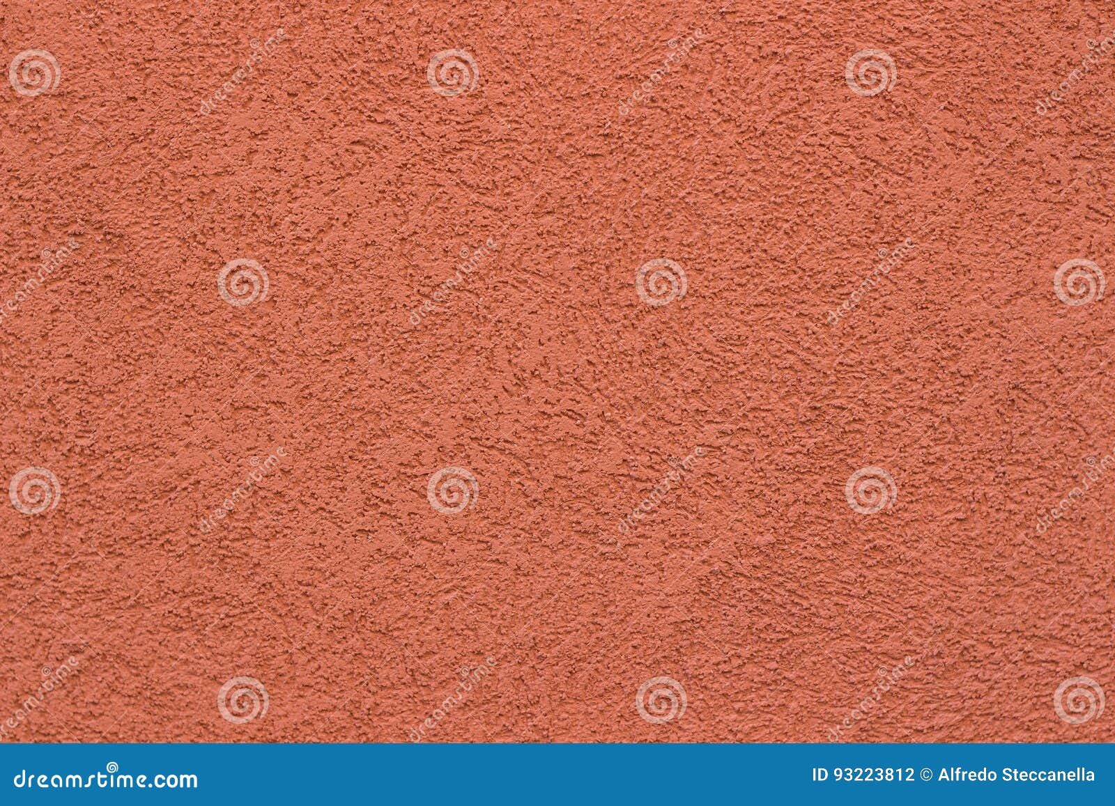 wall color coral