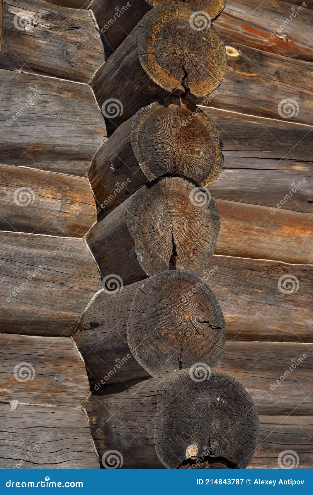 Wall Corners of Wooden Old Log House Stock Image Image of pine