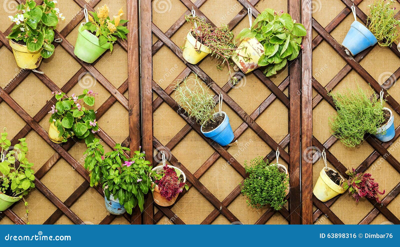 Wall Decorated with Pots of Flowers Stock Photo Image of pots