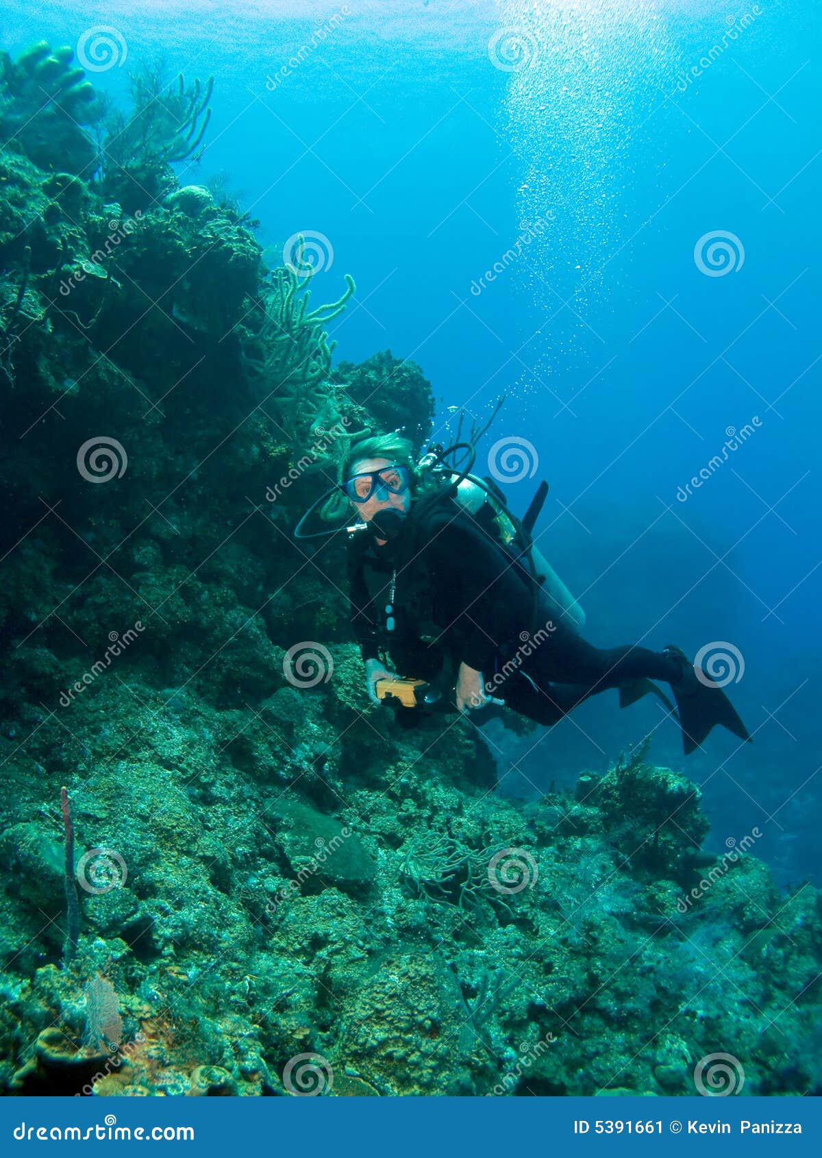 Wall Diving in the Cayman Islands Stock Image Image of travel, scuba