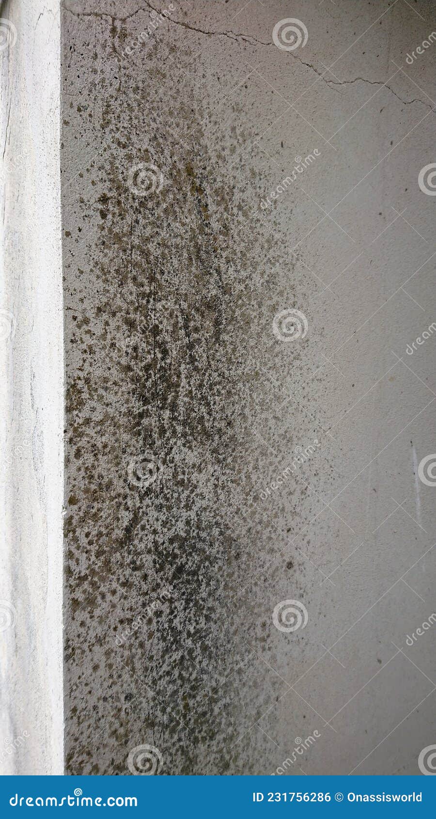 Wall External Humidity. Construction Stock Photo Image of humidity