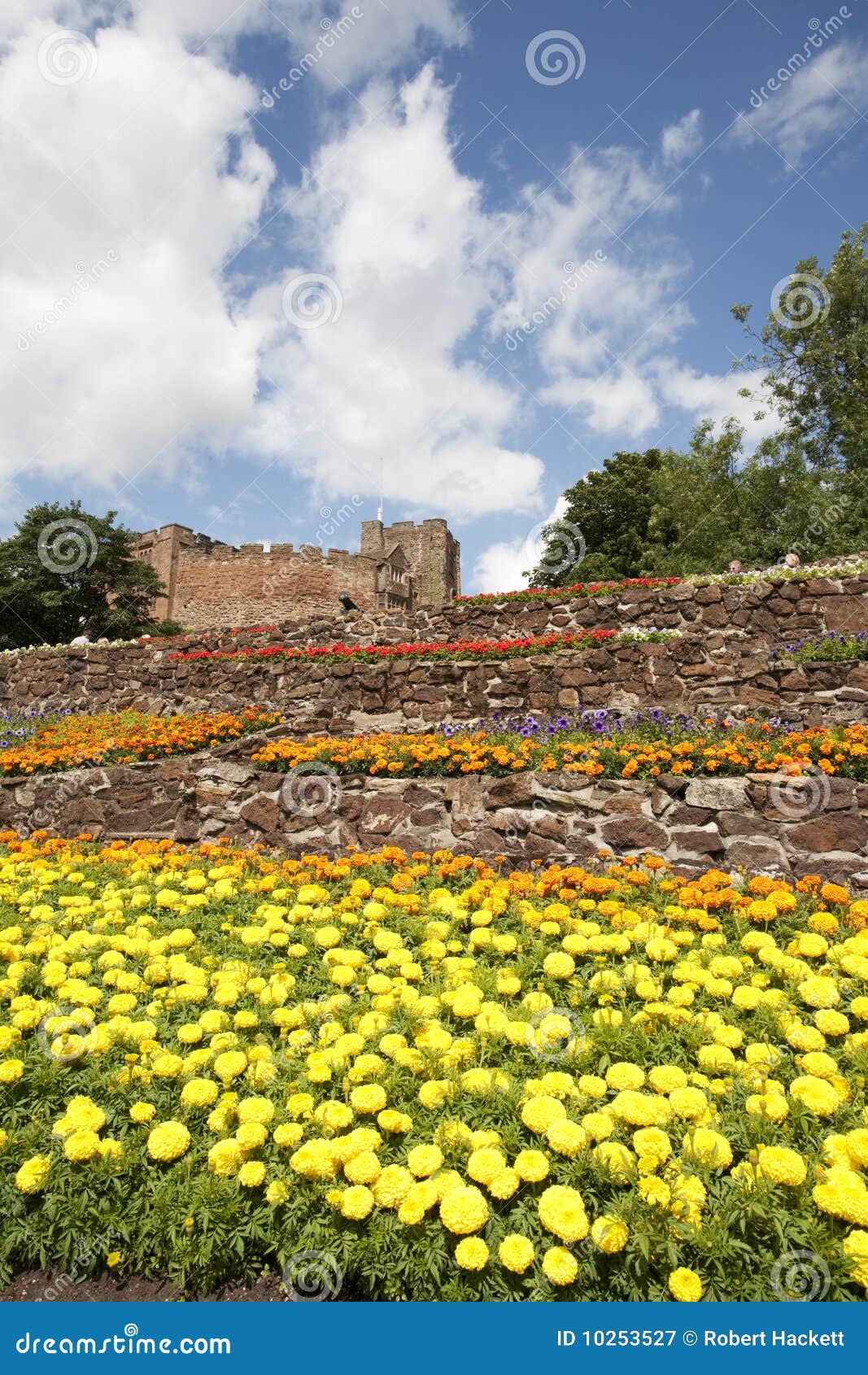 Wall of flowers stock image. Image of bright, blue, clouds 10253527