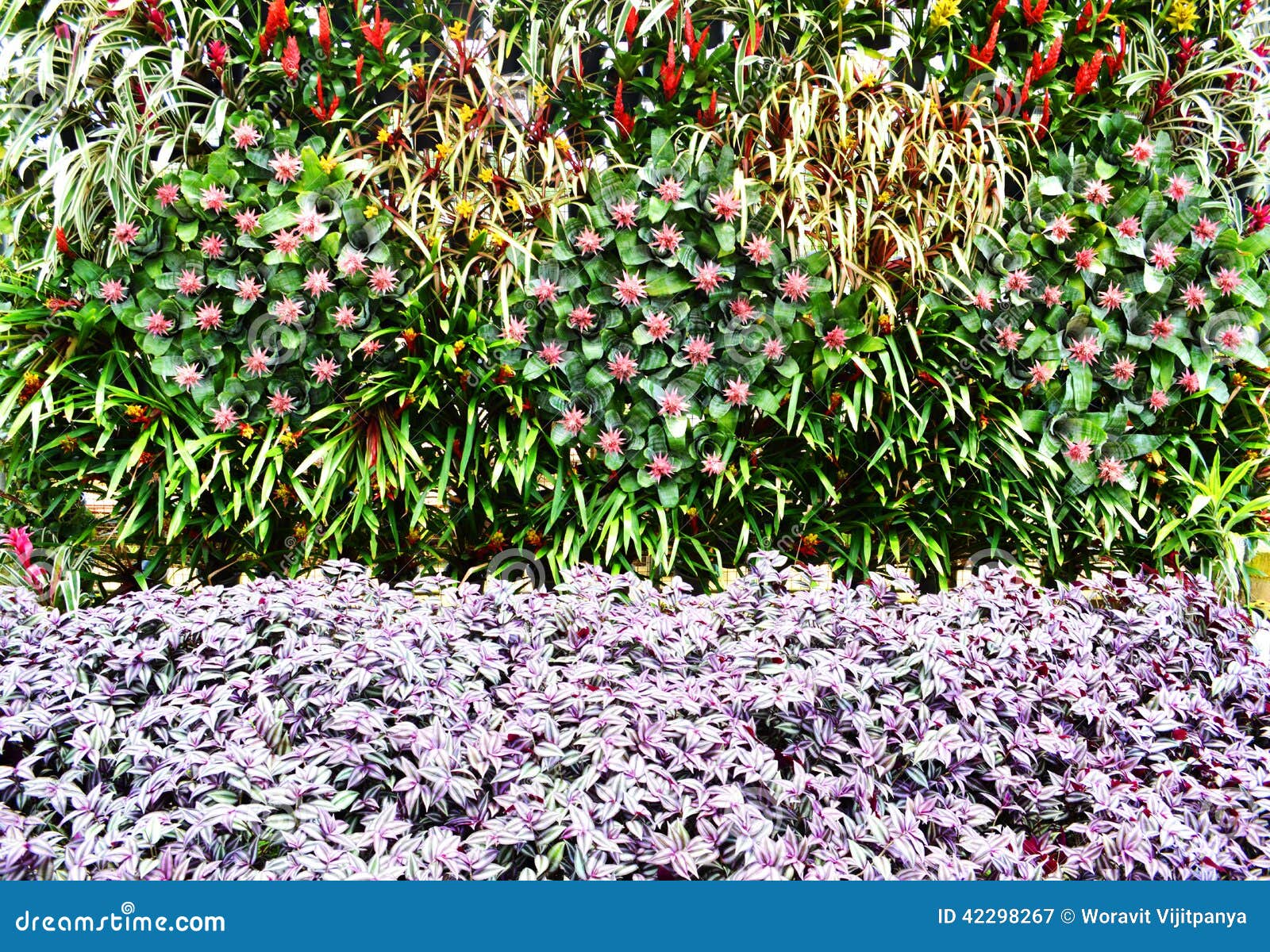 Wall flowers stock image. Image of patio, culture, andalucia 42298267