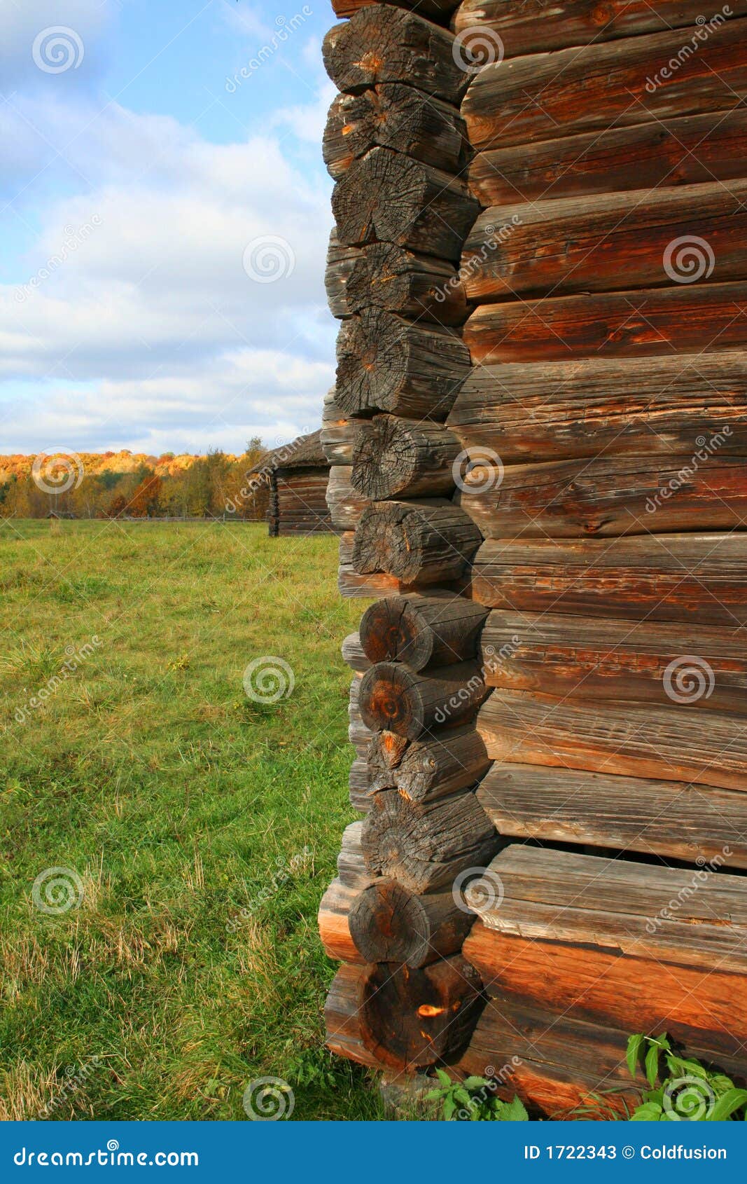 wall from log