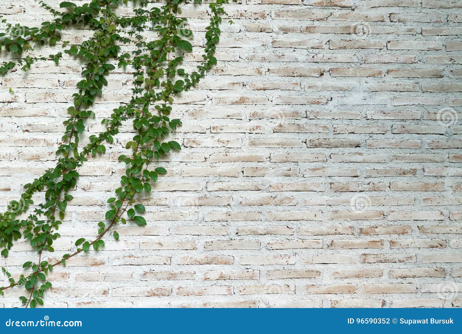 248 Brick Wall String Line Stock Photos - Free & Royalty-Free Stock Photos  from Dreamstime