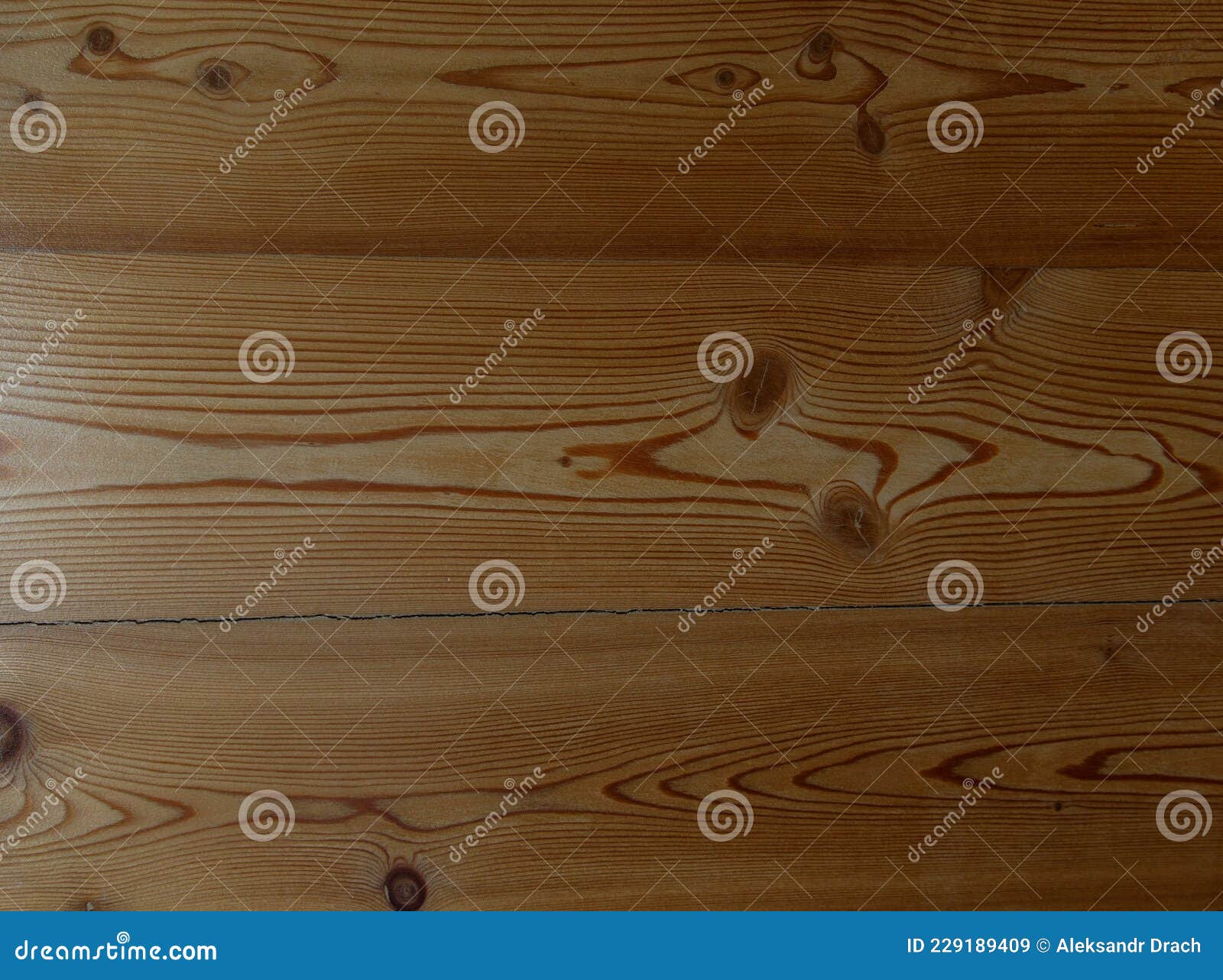 The Wall is Made of Larch Planks Covered with a Colorless Varnish Stock