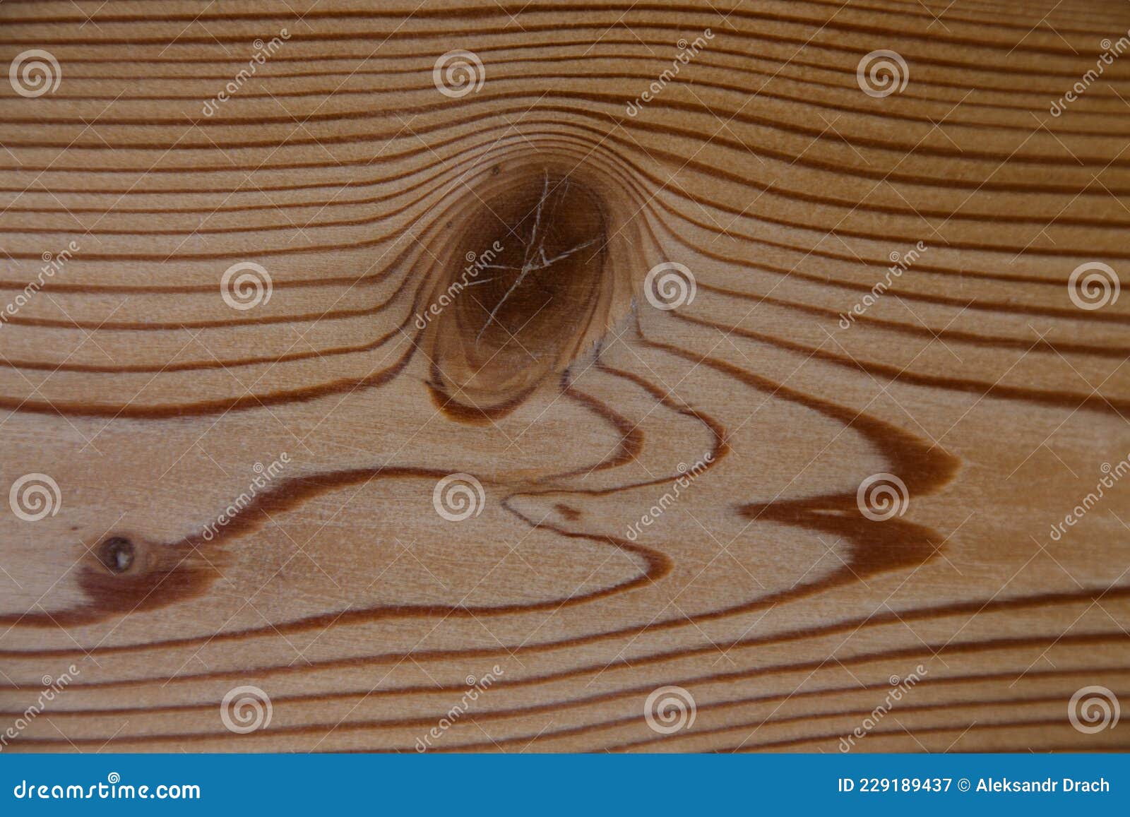 The Wall is Made of Larch Planks Covered with a Colorless Varnish Stock
