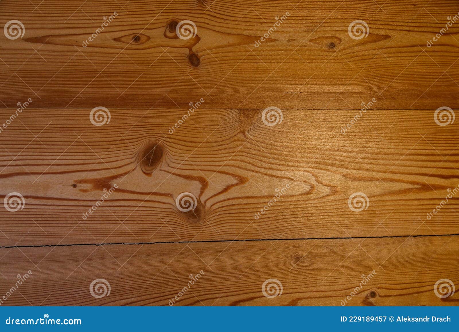 The Wall is Made of Larch Planks Covered with a Colorless Varnish Stock