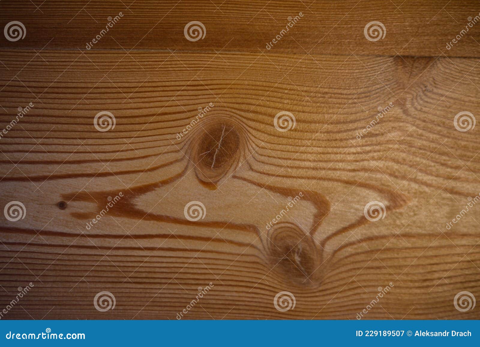 The Wall is Made of Larch Planks Covered with a Colorless Varnish Stock