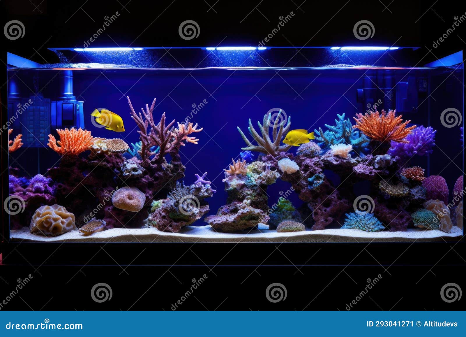 Wallmounted Aquarium with Auto Lighting System Stock Image Image of