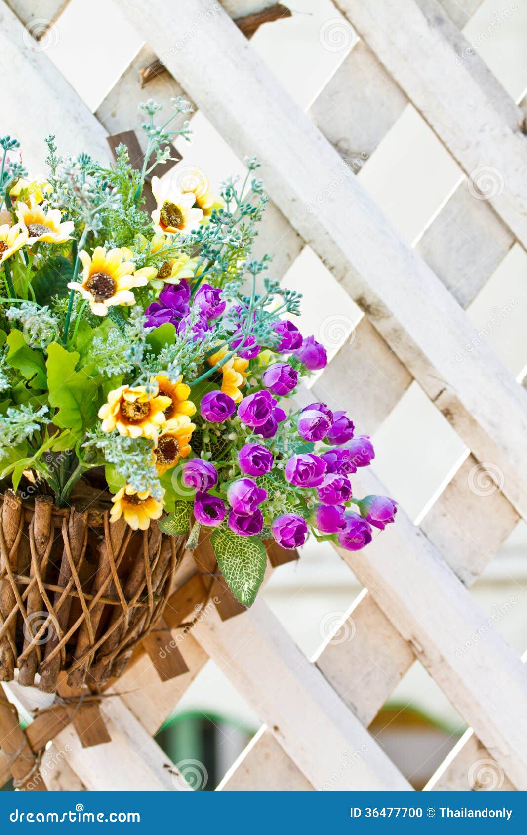 Wall Mounted Hanging Baskets with a Range of Summer Flowers Stock Photo