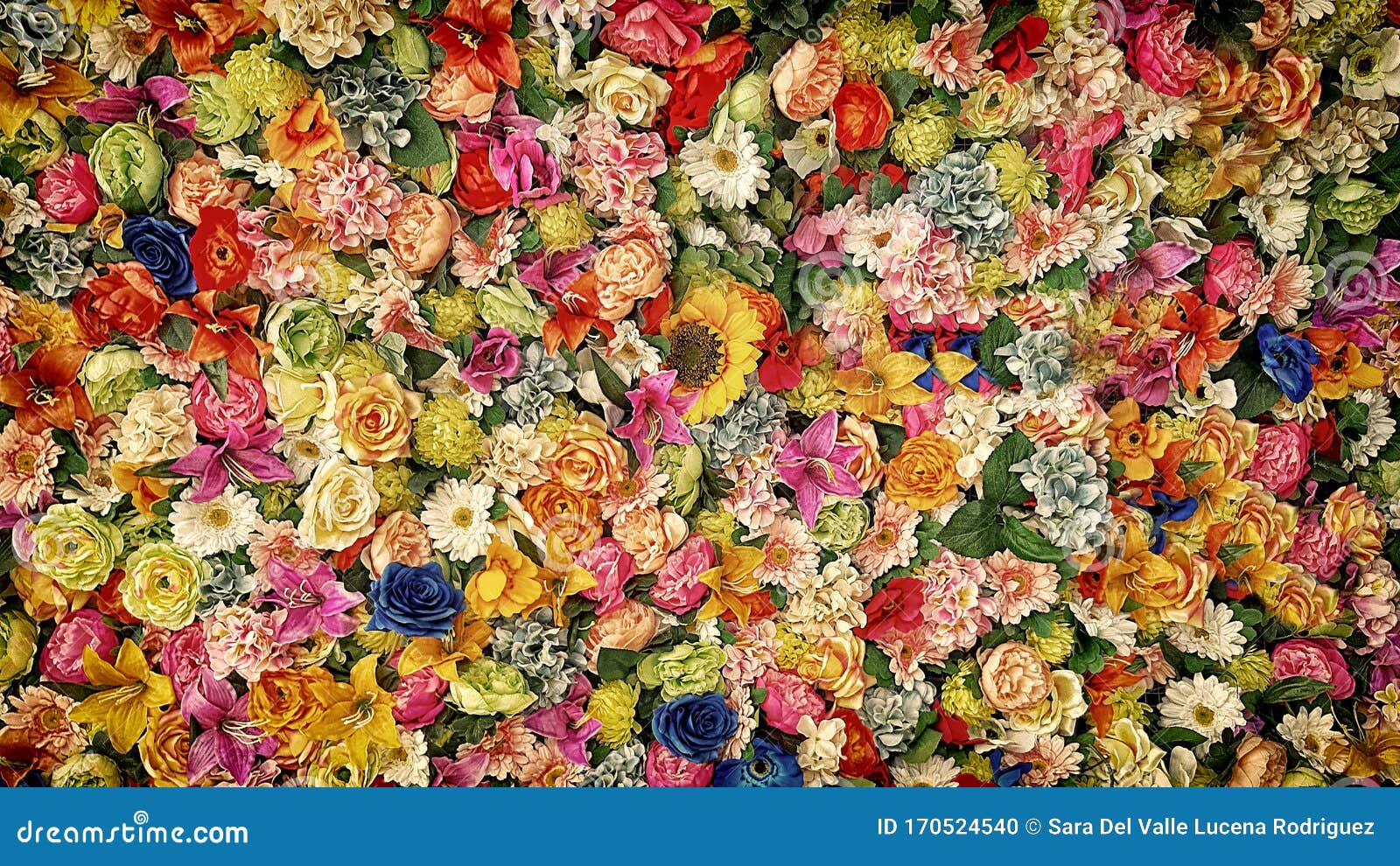 wall of multicolored flowers with rose tulipan margaritas