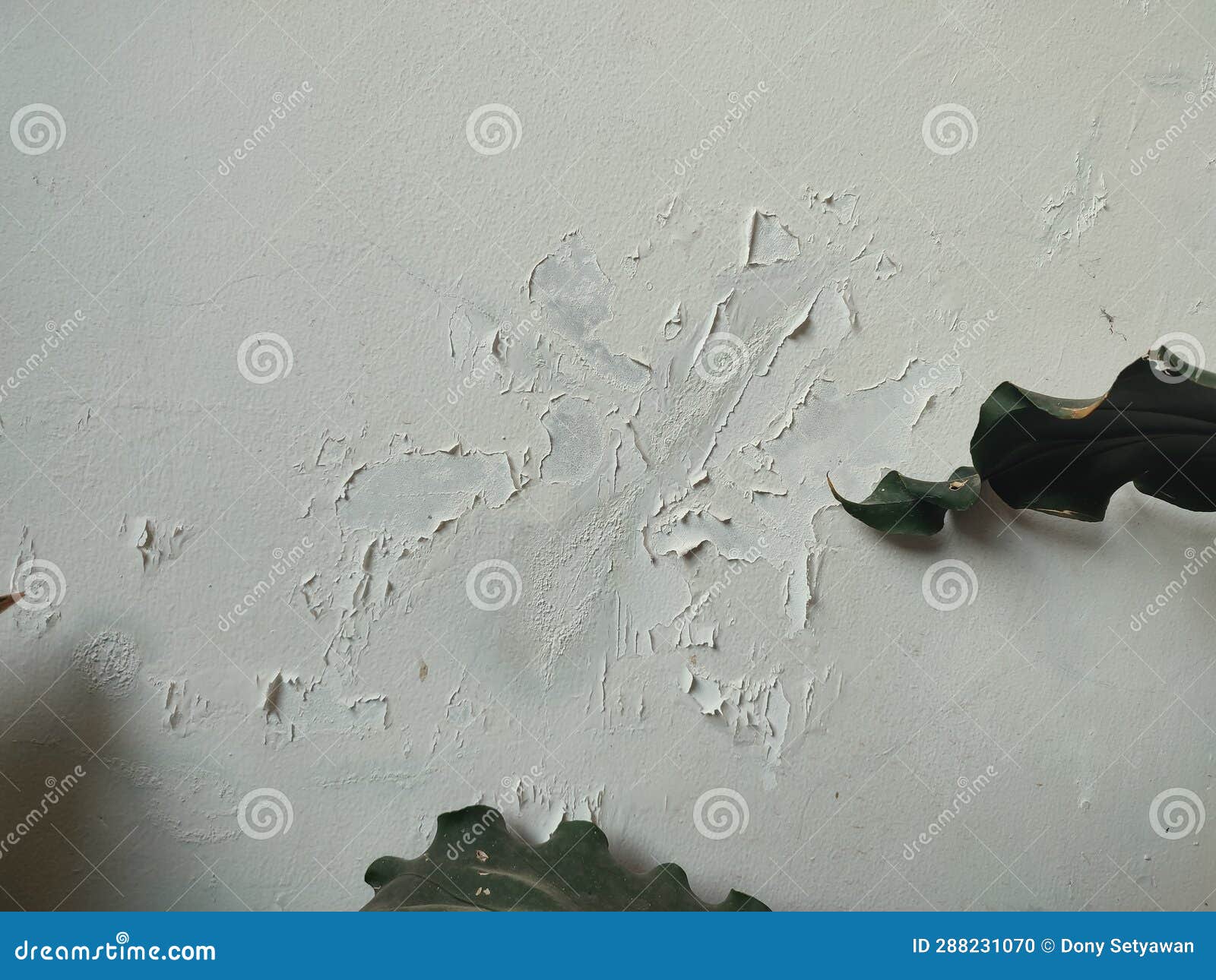 The Wall Paint is Peeling Due To Humidity and Mold. Stock Photo Image of winter, closeup