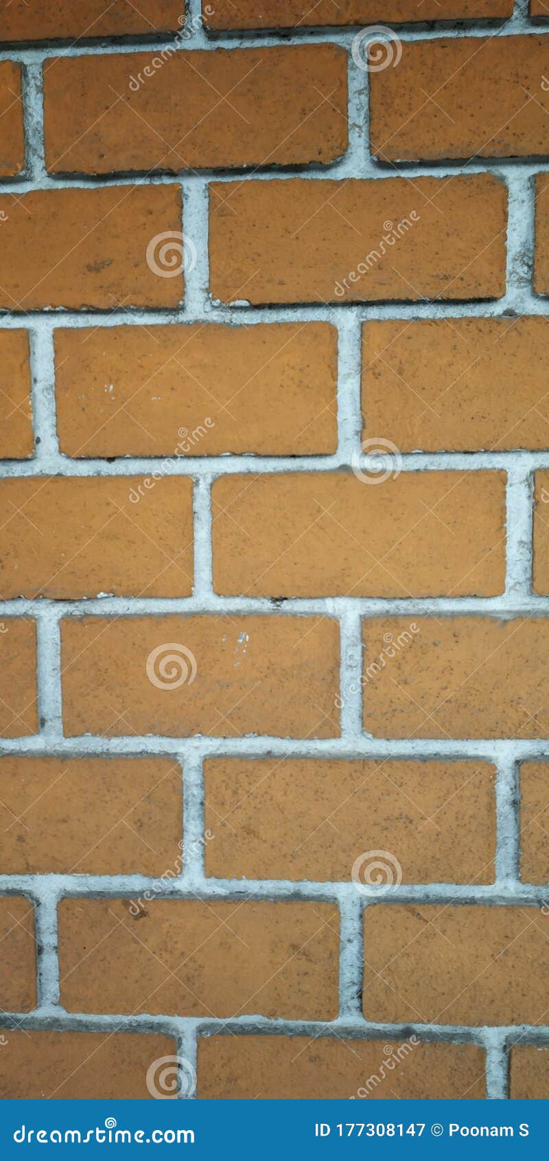 Wall stock image. Image of lightcolour, whitecolourborder 177308147
