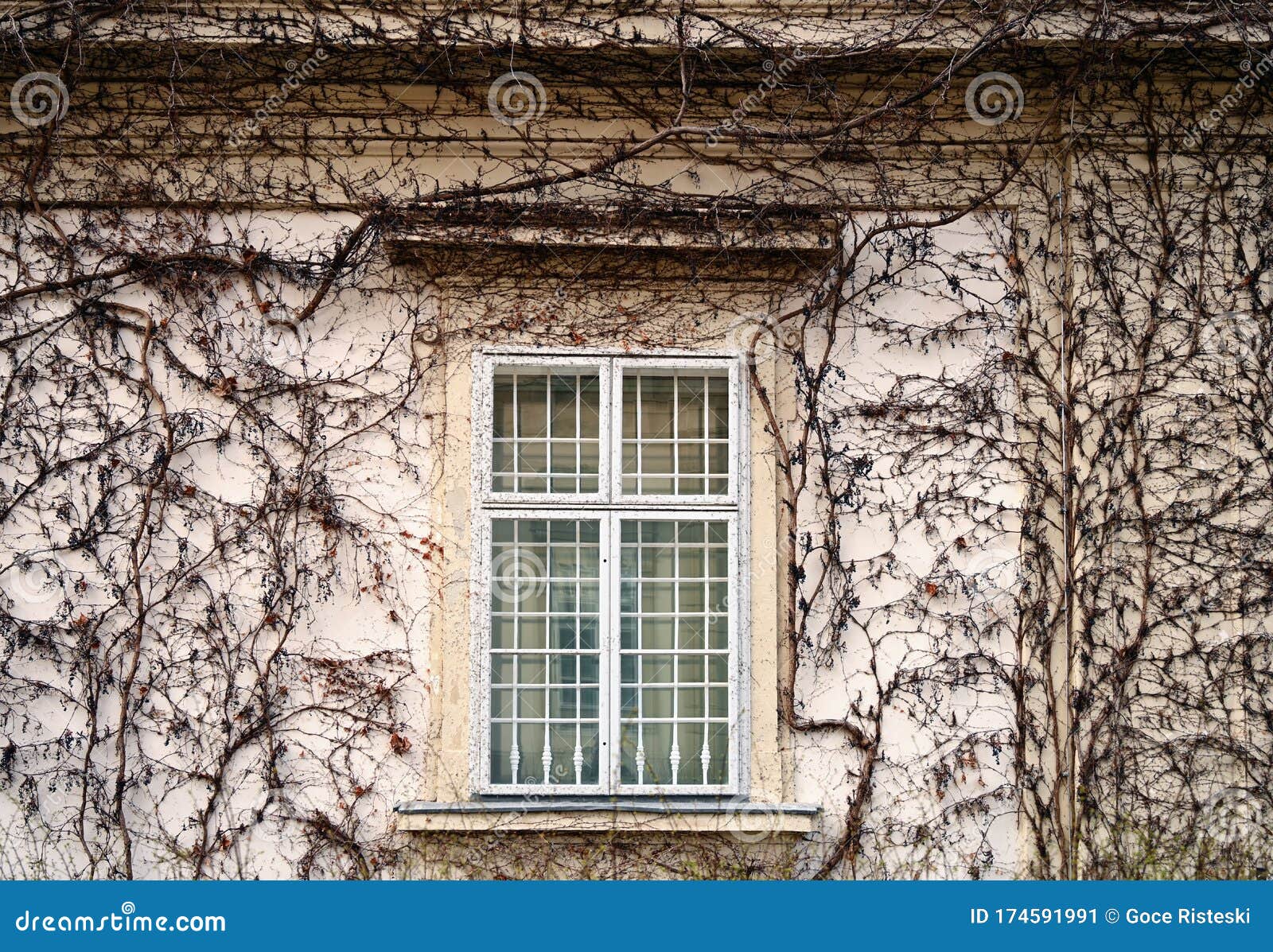 Wall With Window And Creeper Plant Stock Image Image of