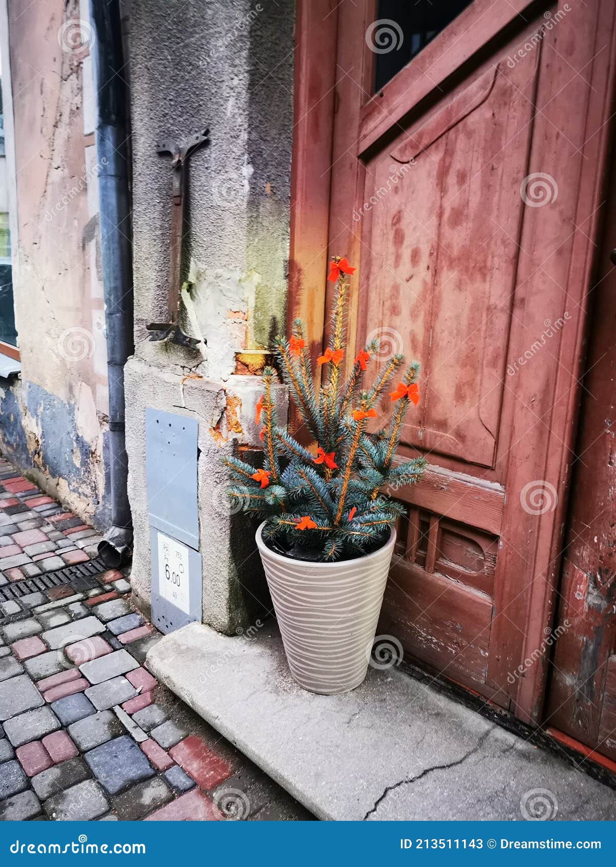 Wall street flower doors stock image. Image of alley 213511143
