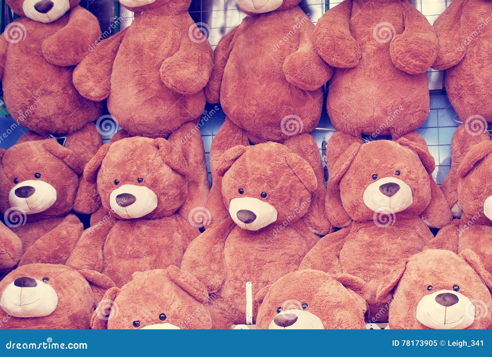 carnival teddy bears