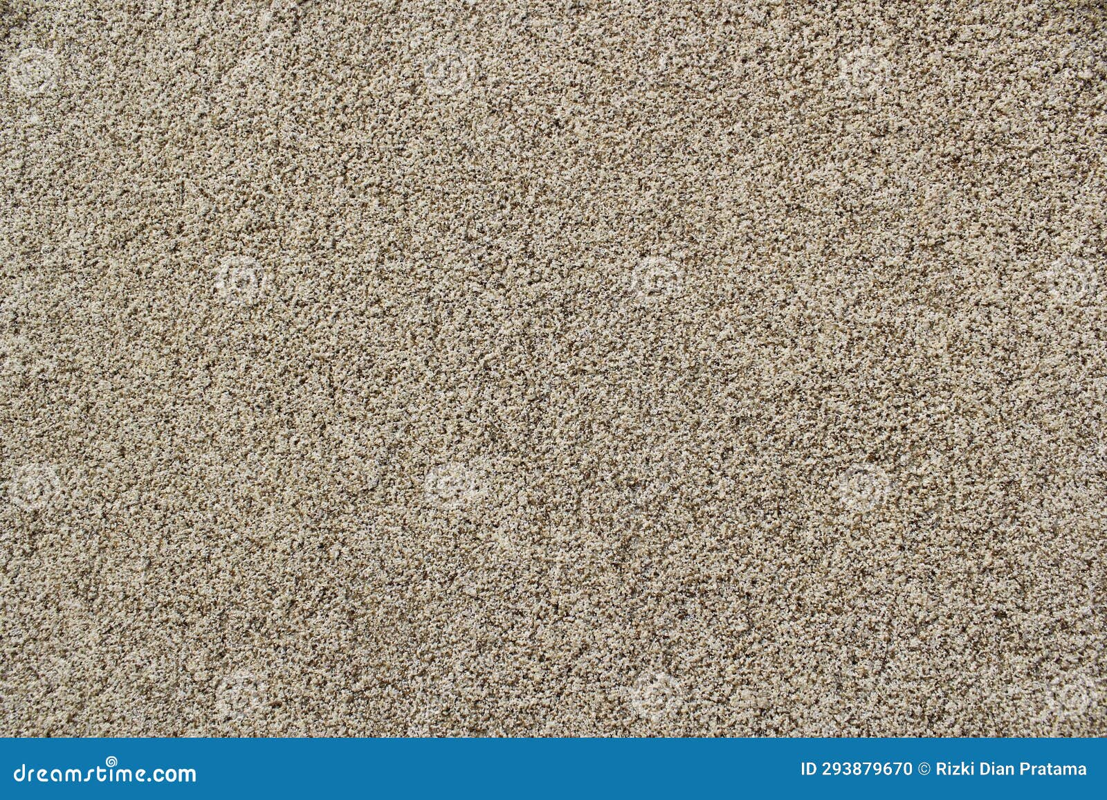 Wall Texture with Coarse Sand Texture Stock Photo Image of color