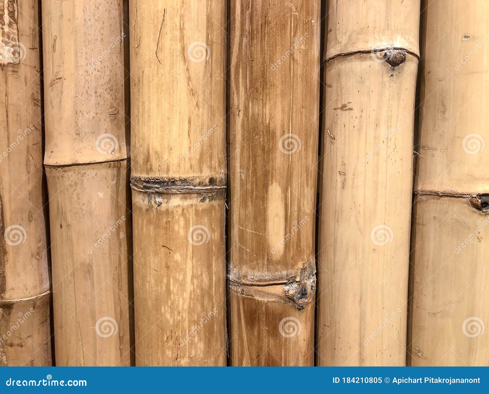 Wall tiles stock image. Image of bamboo, nature, panel - 184210805