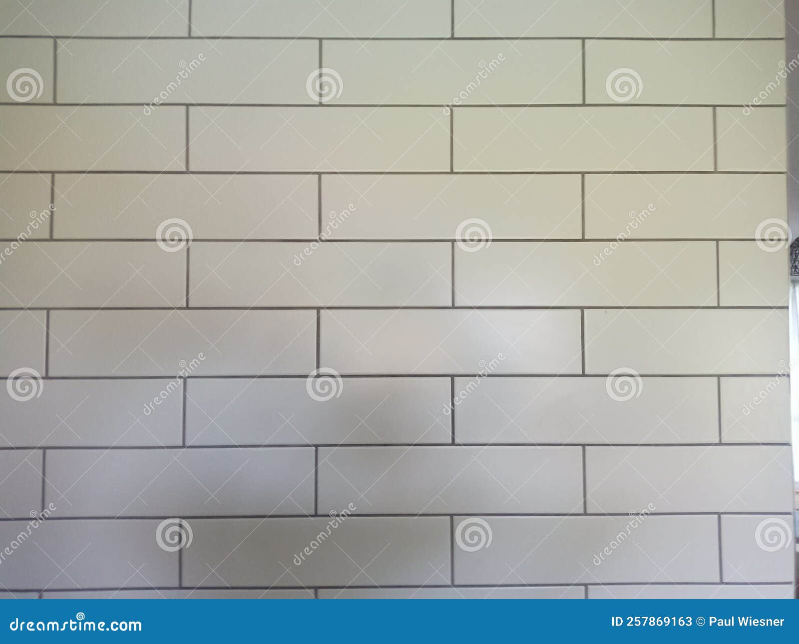 Wall Tiles Ceramic Gray Grout Matt White Stock Image Image of grout, ceramic 257869163