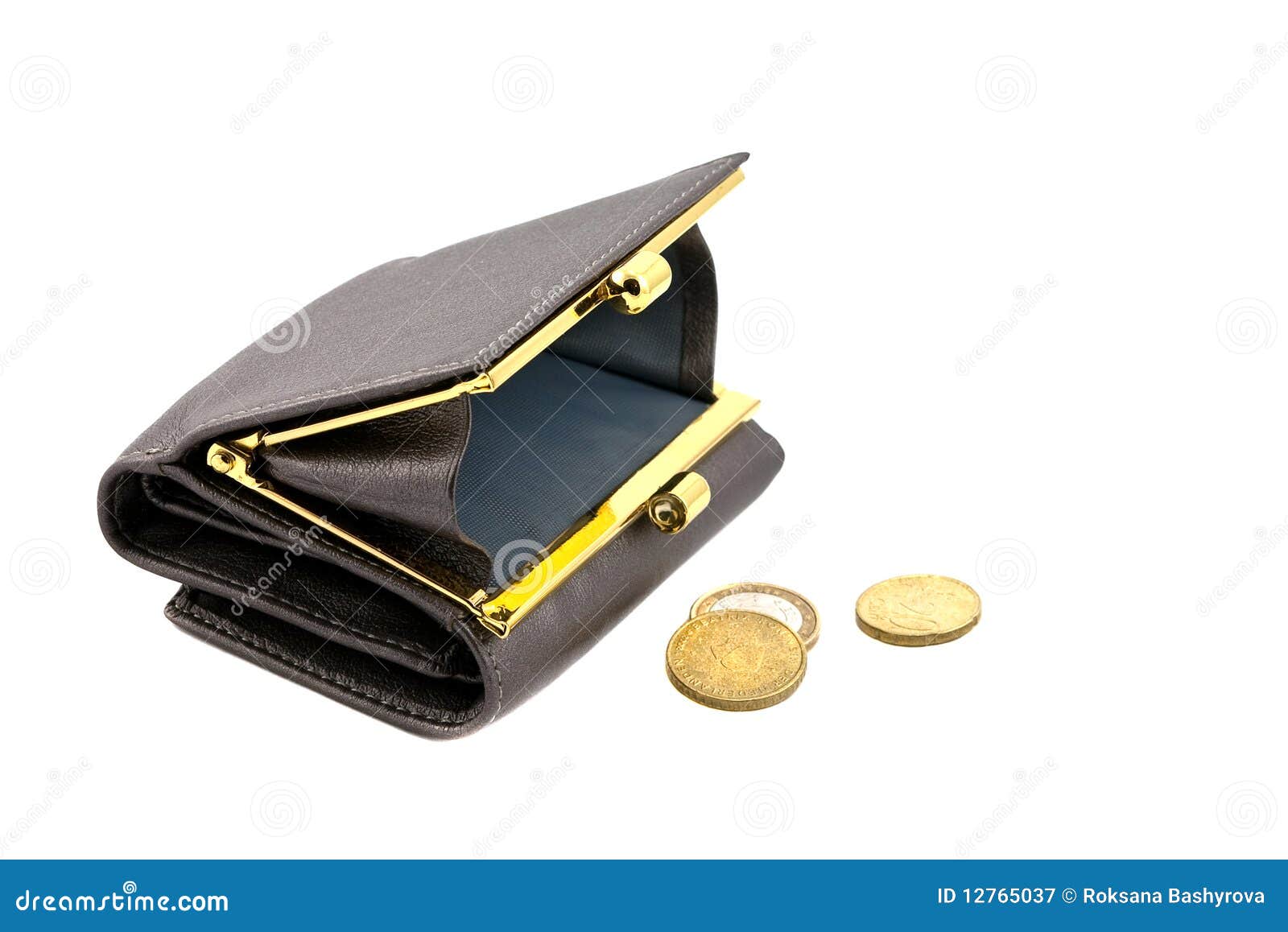 Wallet with coins stock image. Image of banking, object 12765037