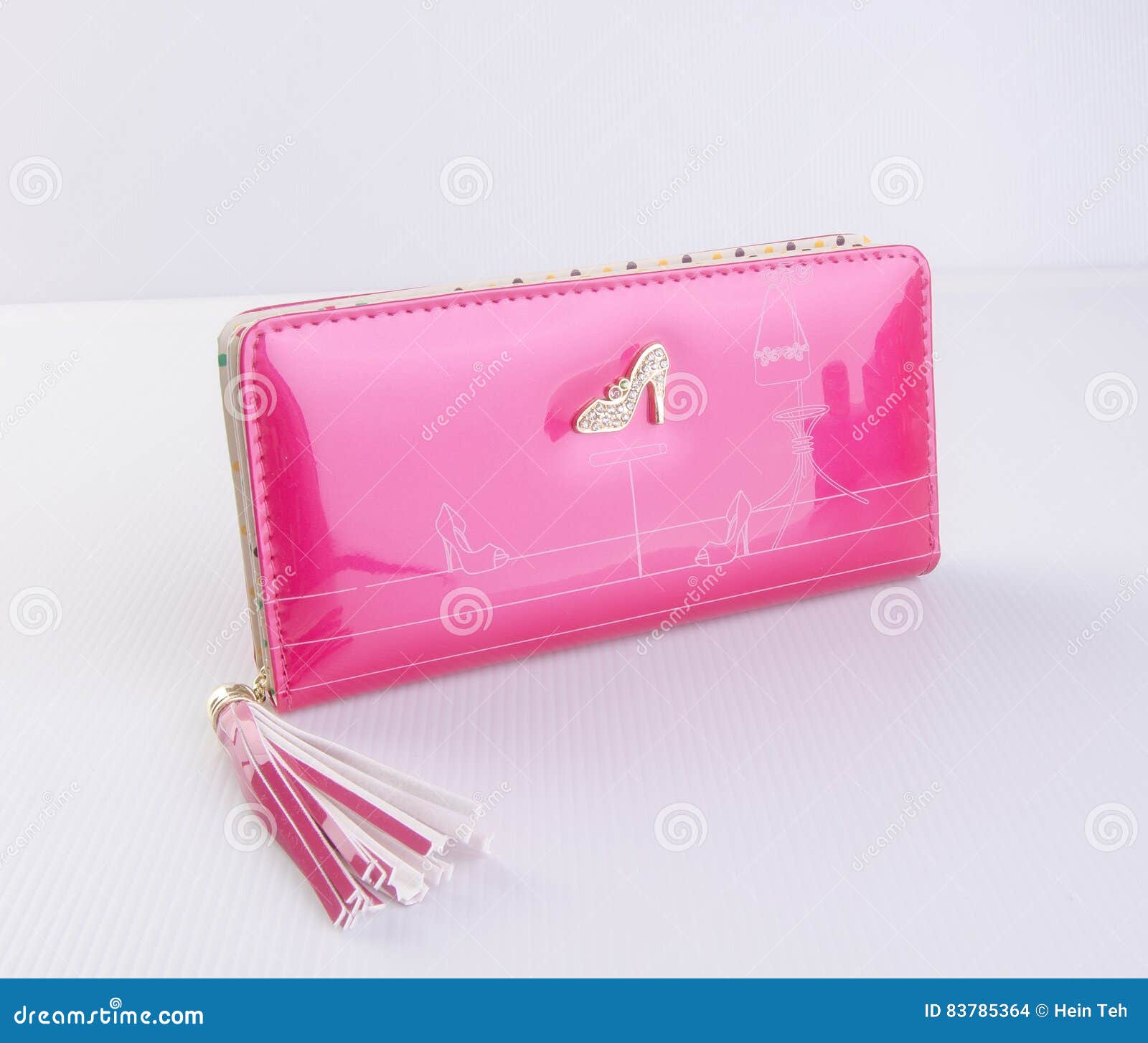 Wallet or Purse Woman on a Background. Stock Photo - Image of lady ...