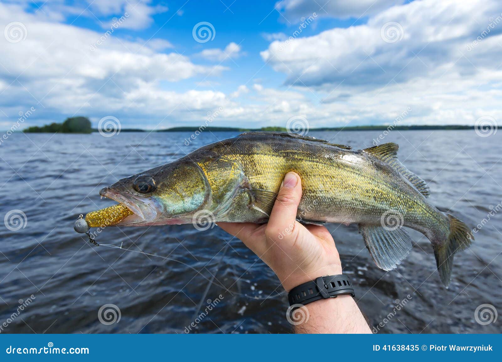 Walleye boat fishing stock image. Image of green, freshwater 41638435