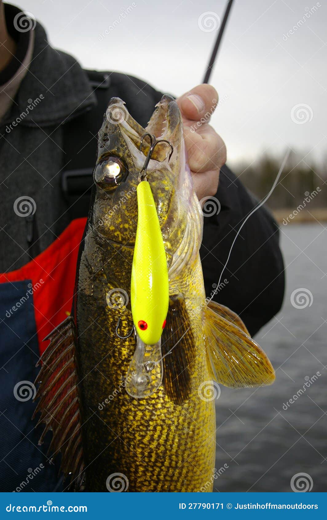 Walleye Fishing Crankbait stock image. Image of marble - 27790171