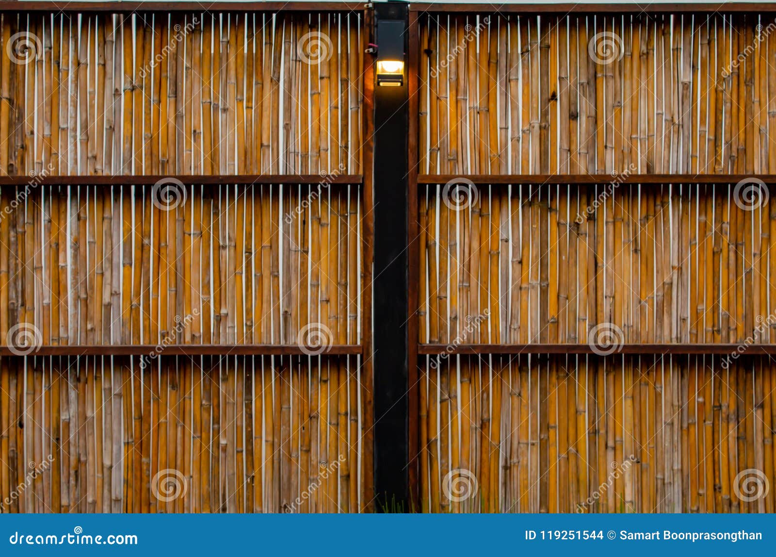 Walls of Bamboo in the Garden Stock Photo Image of japan, green
