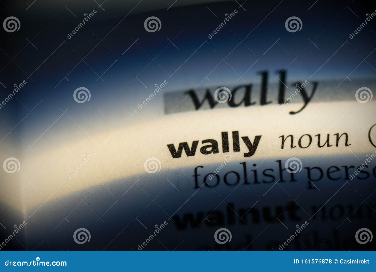 Wally stock photo. Image of info, close, wally, printed 161576878
