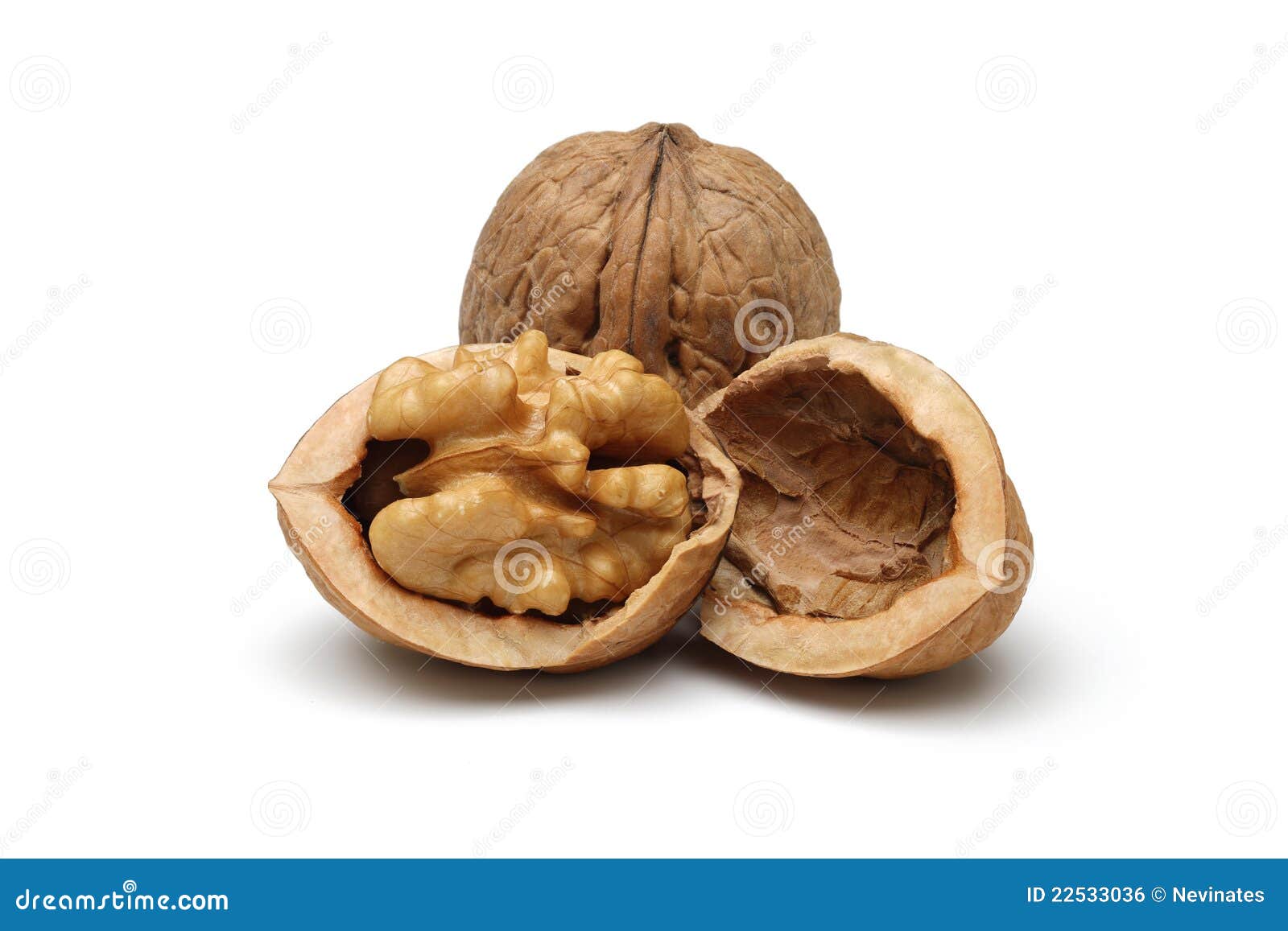 walnut