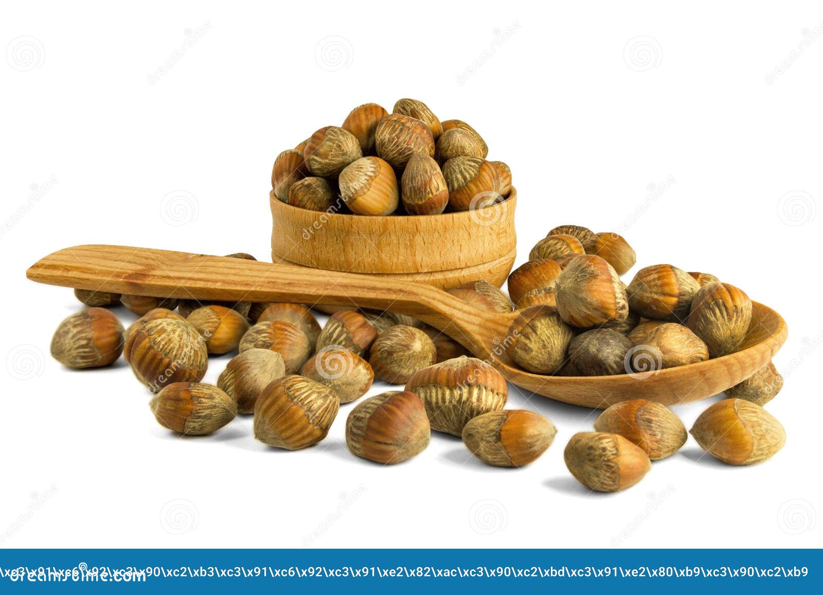 Walnut Hazelnut Isolate on a White Background. Nuts Hazel of a T Stock