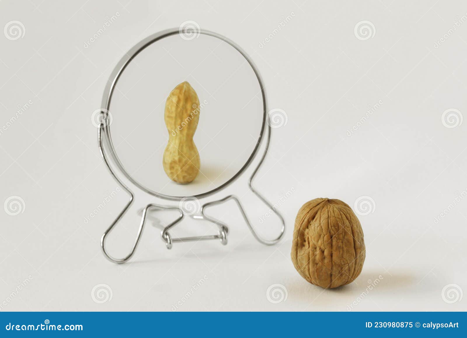 walnut looking in the mirror and seeing itself as a peanut - concept of dysmorphobia and distorted self-image